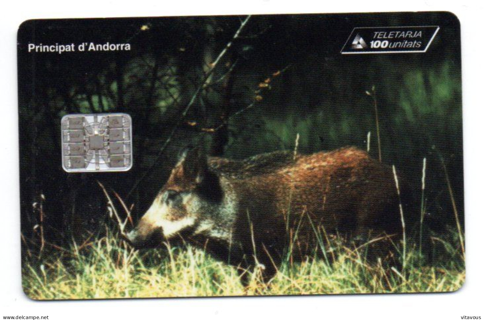 Sanglier Bovid Animal  Télécarte Andorre AND 58 Phonecard ( M 473) - Andorra