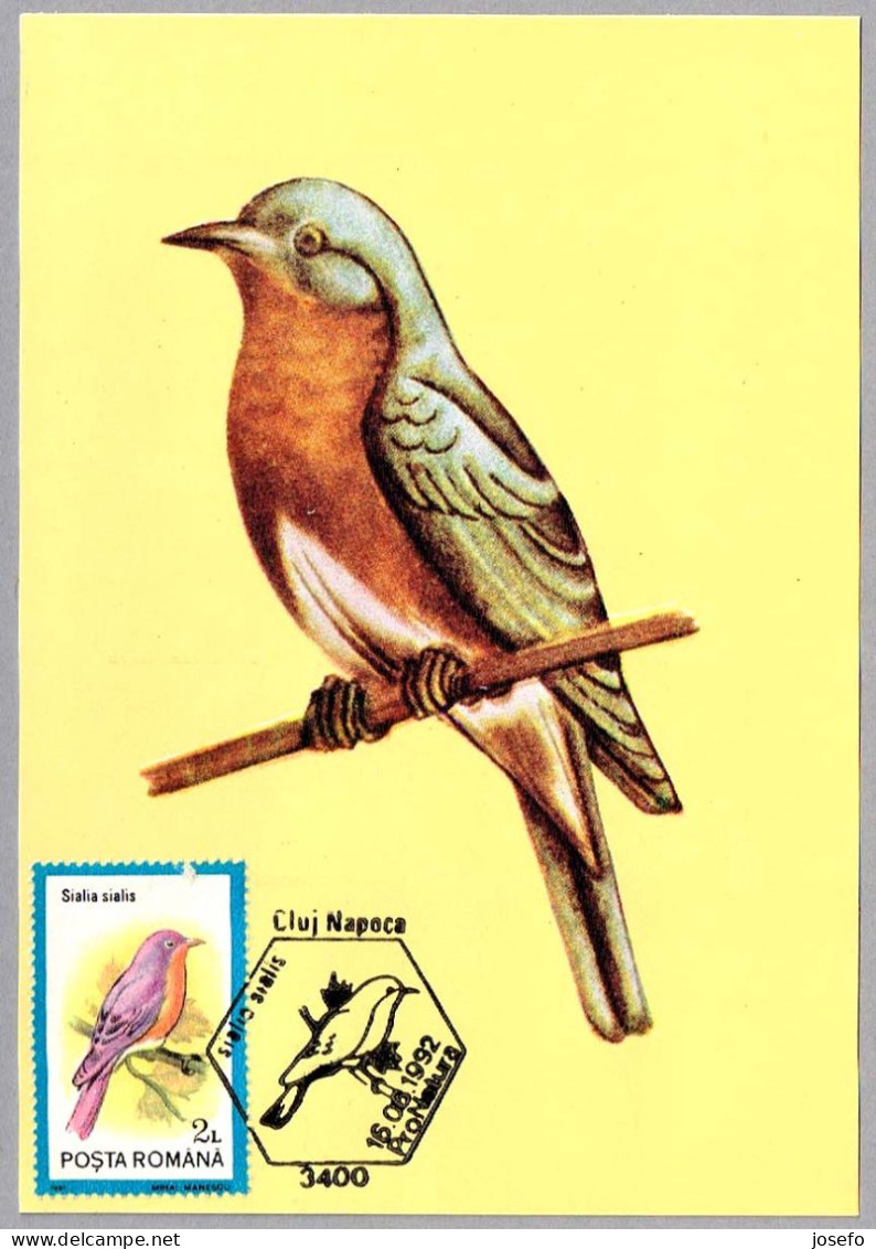 SIALIA SIALIS - Azulejo Gorjicanelo - Eastern Bluebird. Cluj Napoca 1992 - Mechanical Postmarks (Advertisement)