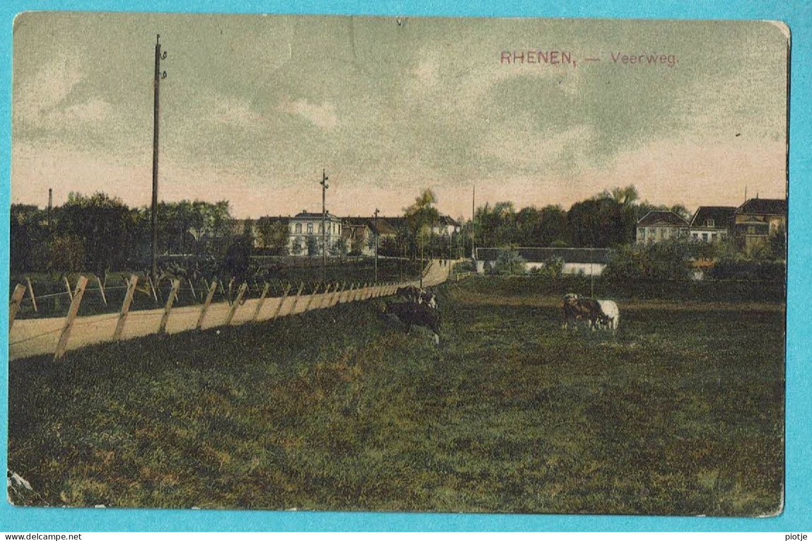 * Rhenen (Utrecht - Nederland) * (KLEUR) Veerweg, Vue Générale, Panorama, Vache, Koe, Cow, Unique, TOP - Rhenen