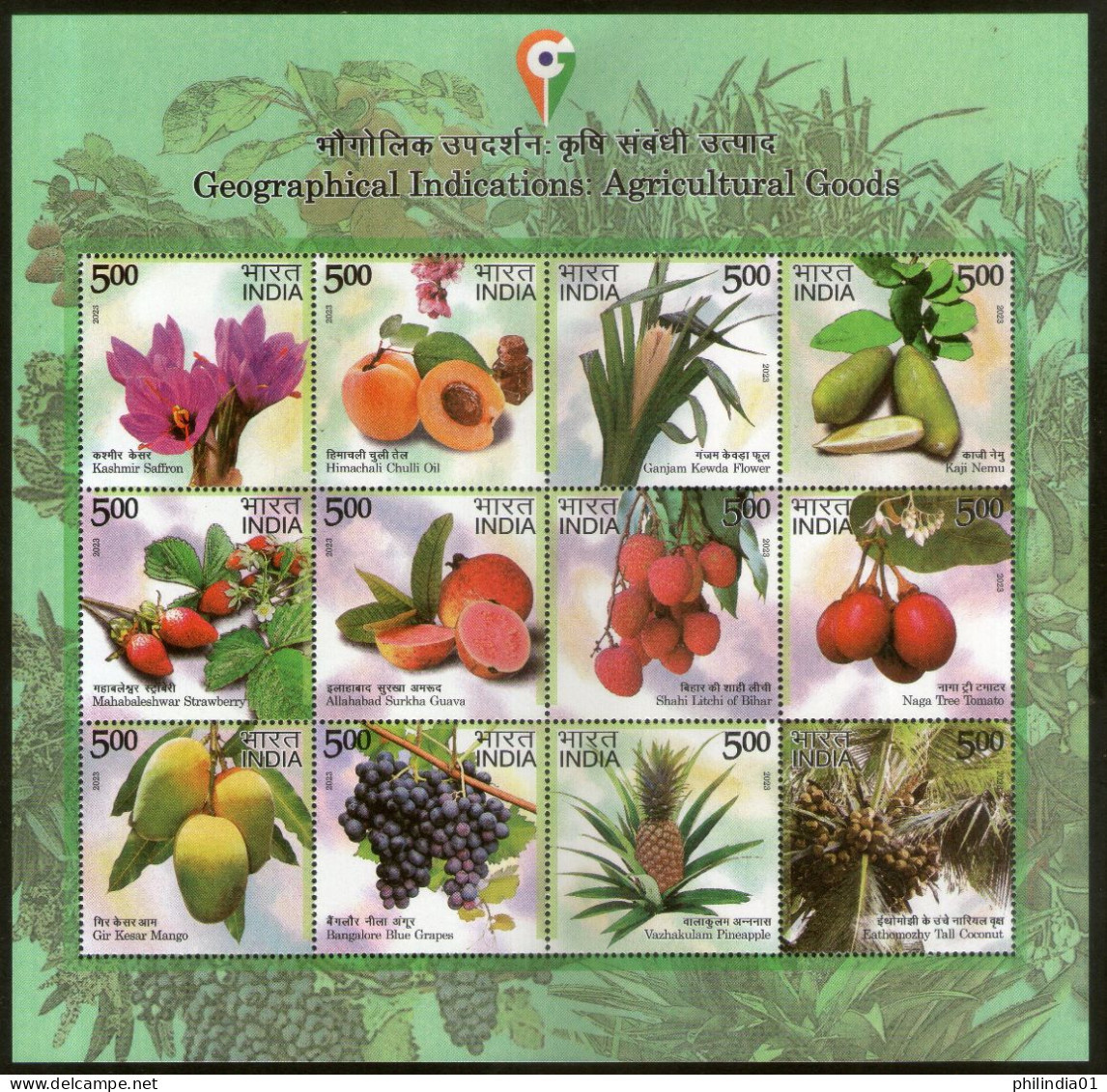 India 2023 Geographical Indications Agricultural Goods Fruits 12v Sheetlet MNH - Agriculture