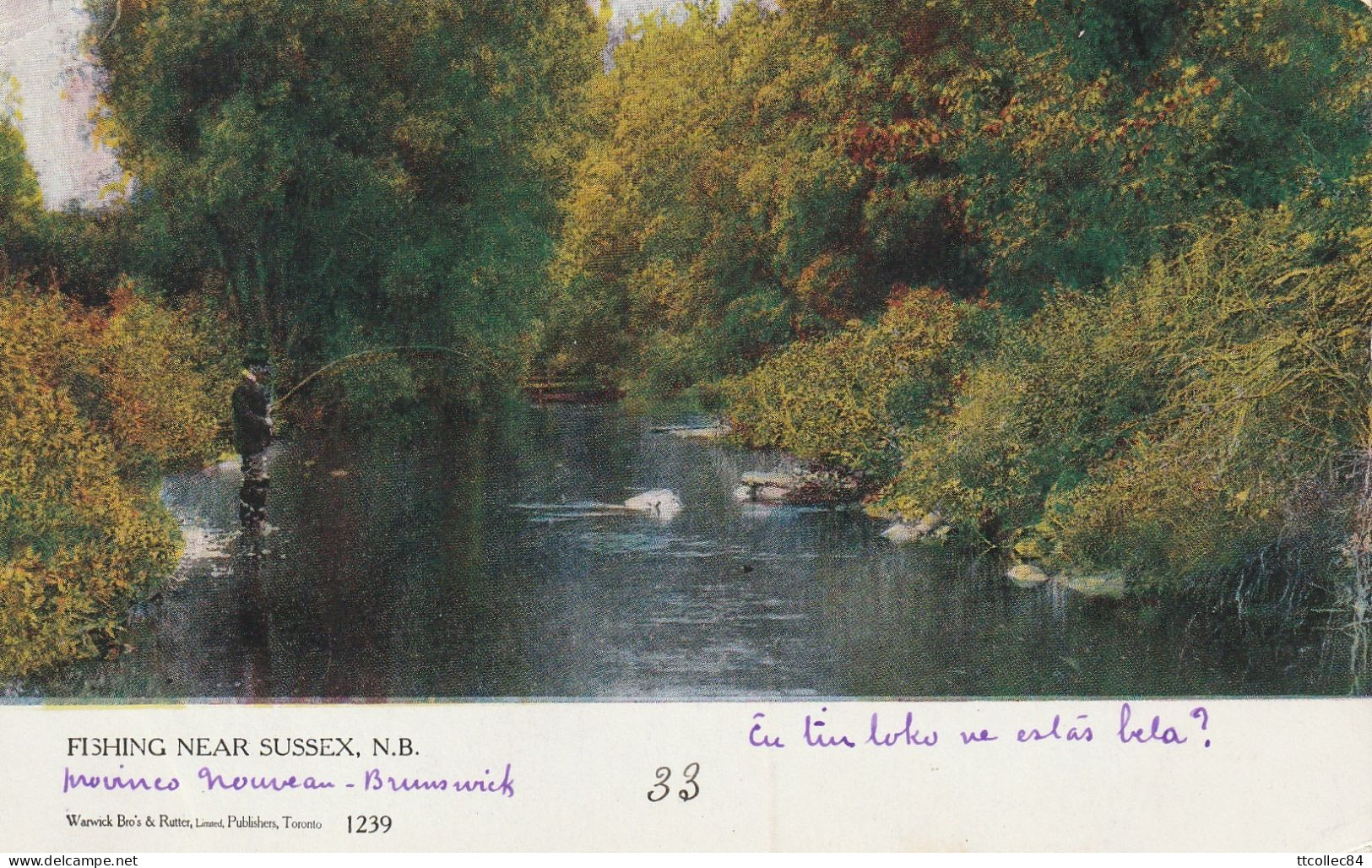 CPA-CANADA-Fishing Near Sussex - Sonstige & Ohne Zuordnung