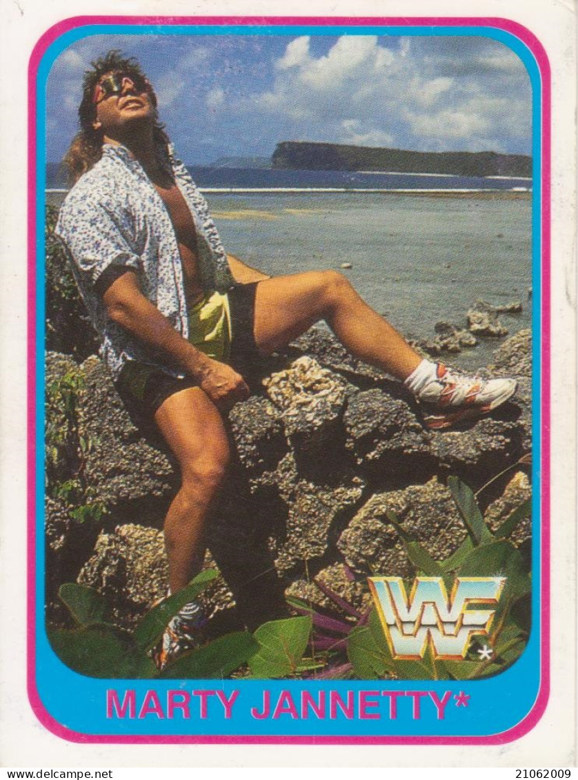 21/150 MARTY JANNETTY - WRESTLING WF 1991 MERLIN TRADING CARD - Trading Cards