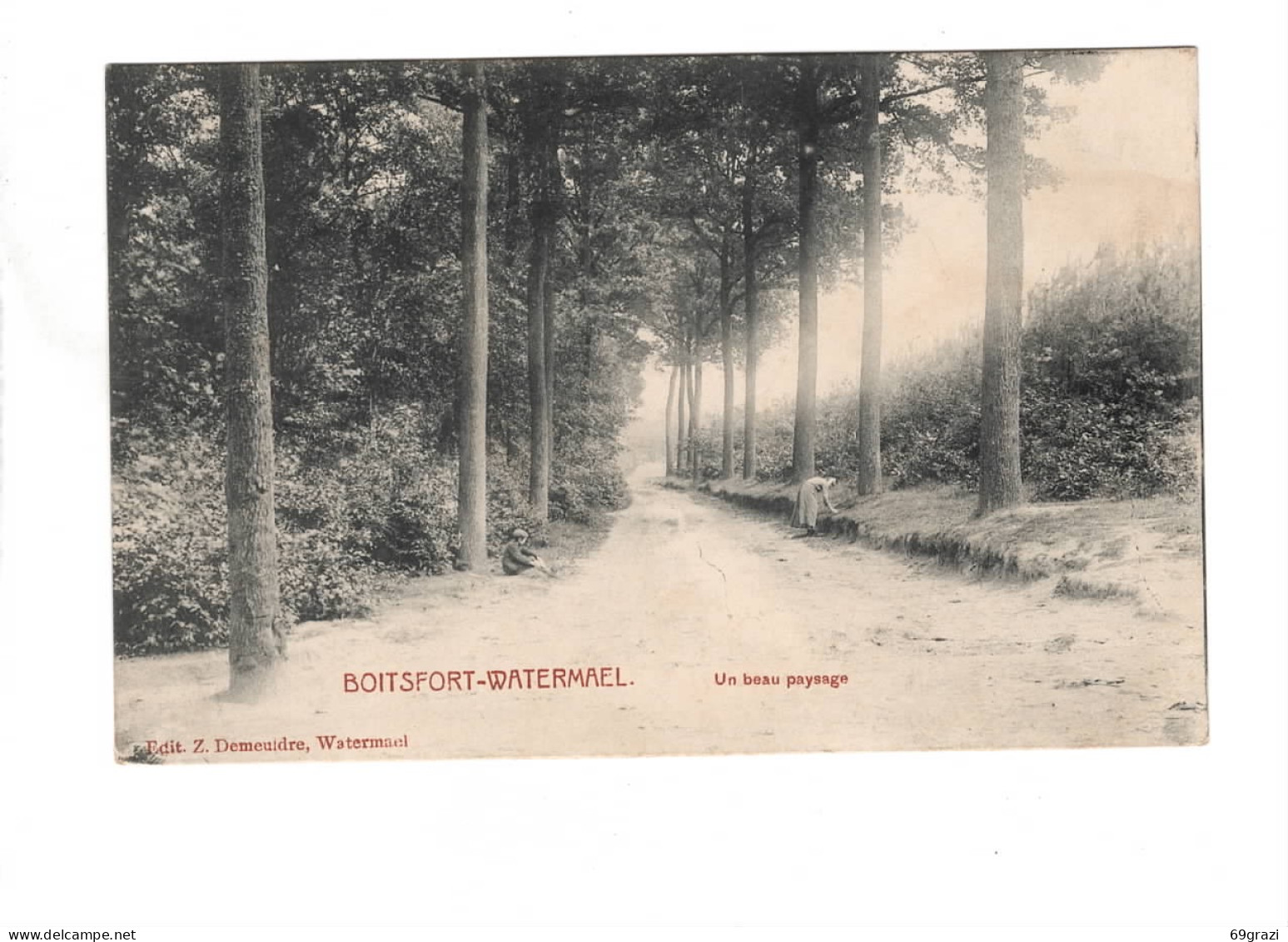 Watermael Boitsfort Beau Paysage - Watermaal-Bosvoorde - Watermael-Boitsfort