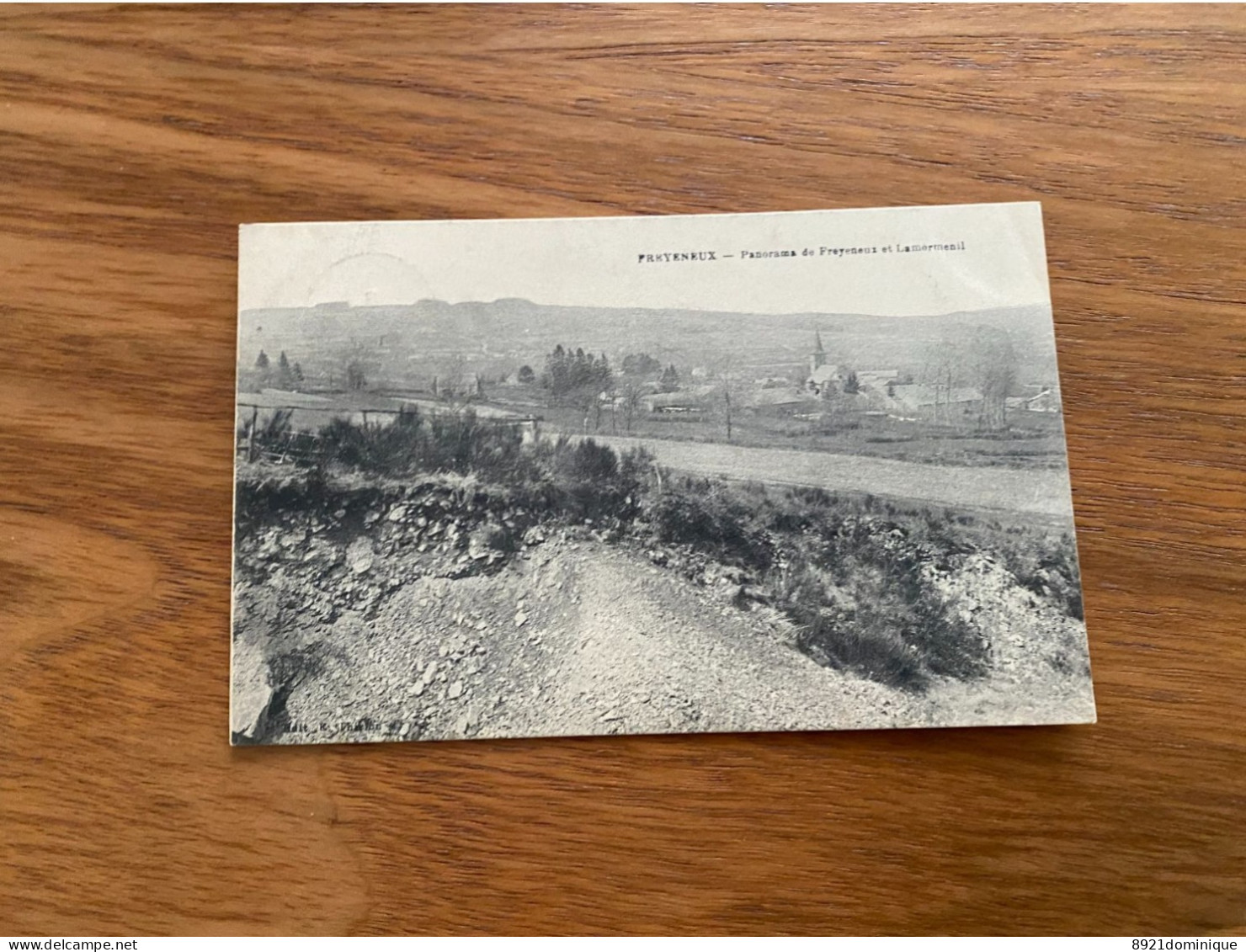 Freyeneux - Panorama De Freyeneux Et Lamormenil (Manhay) - Circulé 1925 - E. Desaix - Manhay