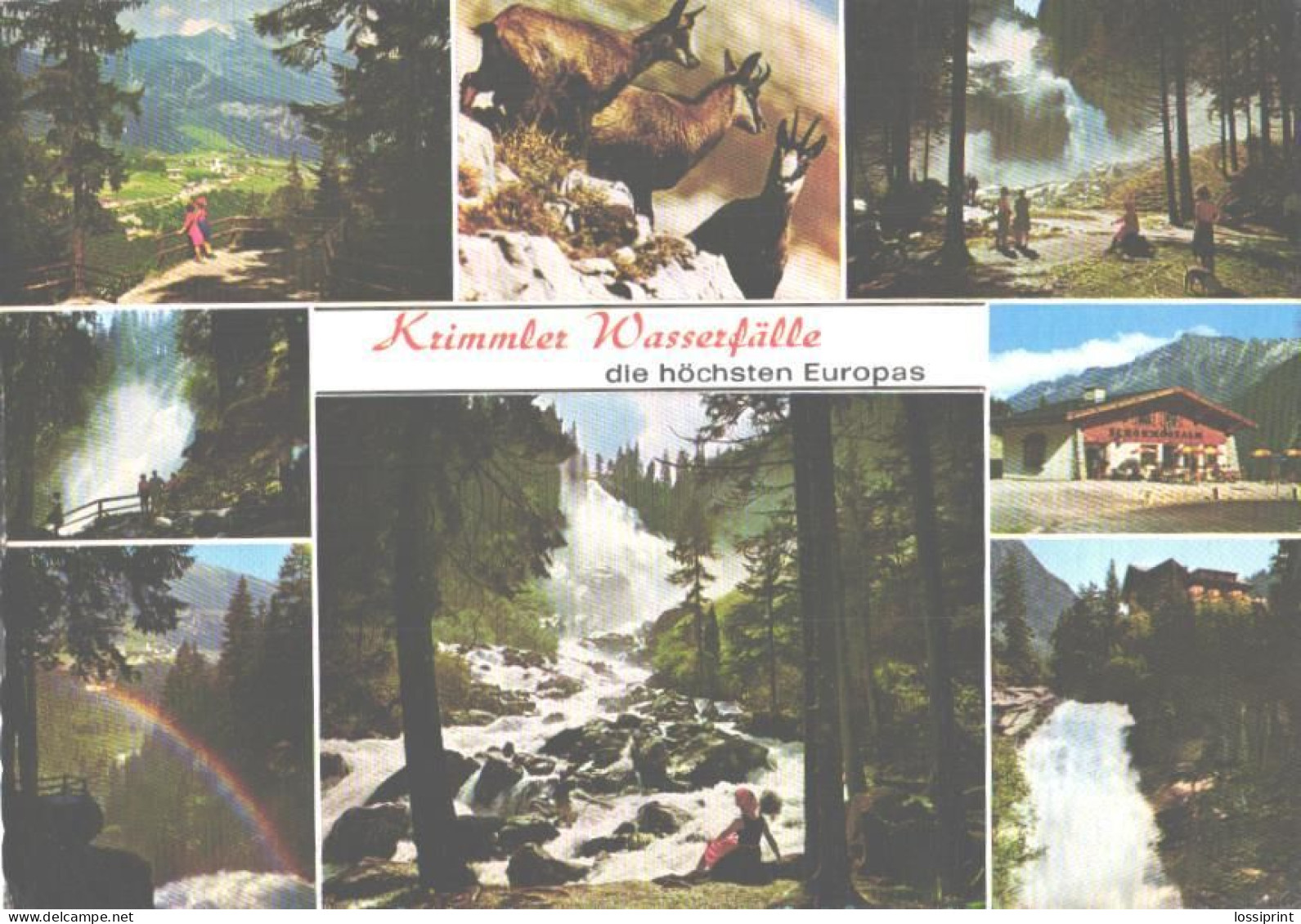 Austria:Krimml Waterfalls, Views, Goats - Krimml