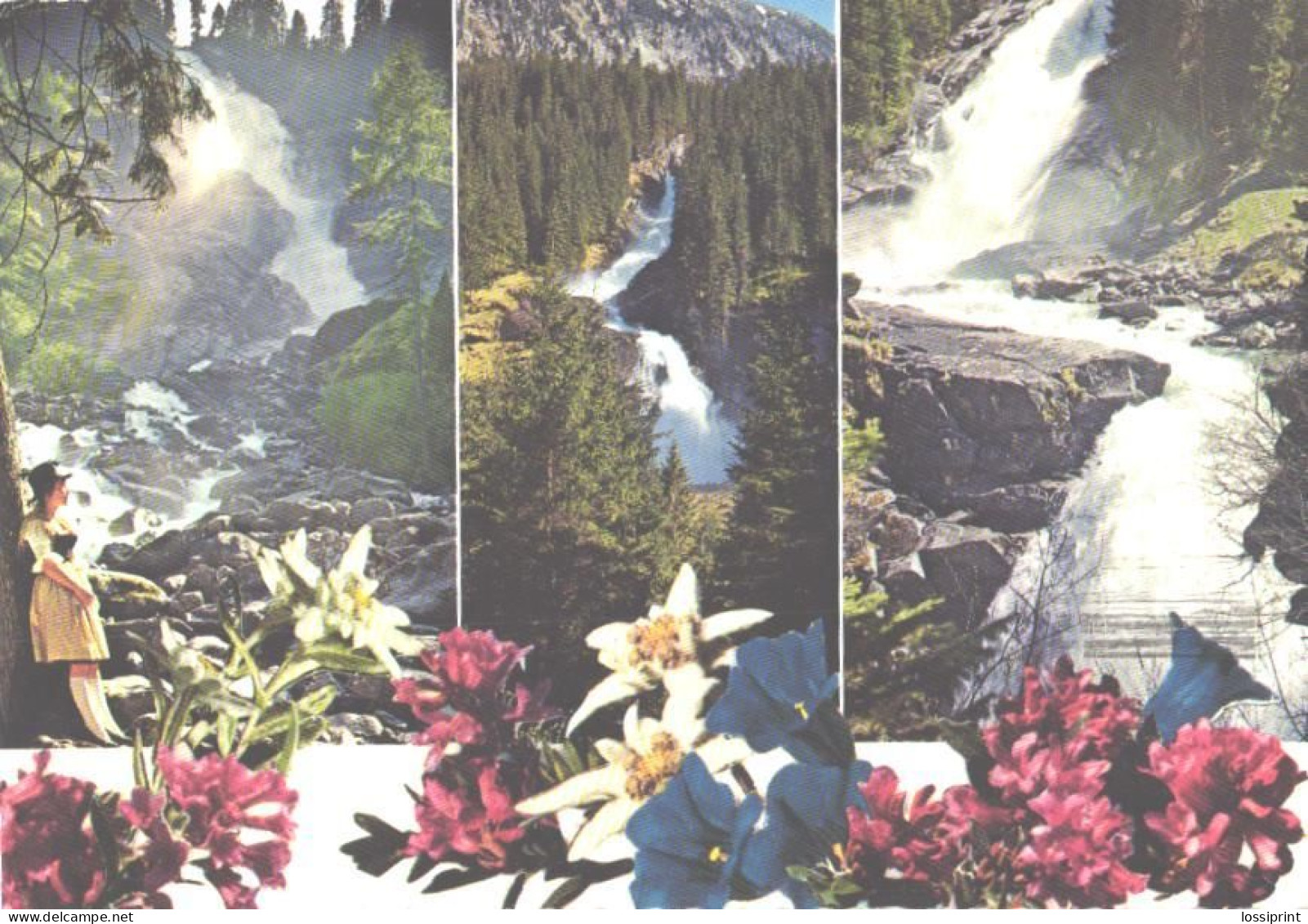 Austria:Krimml Waterfalls, Flowers - Krimml