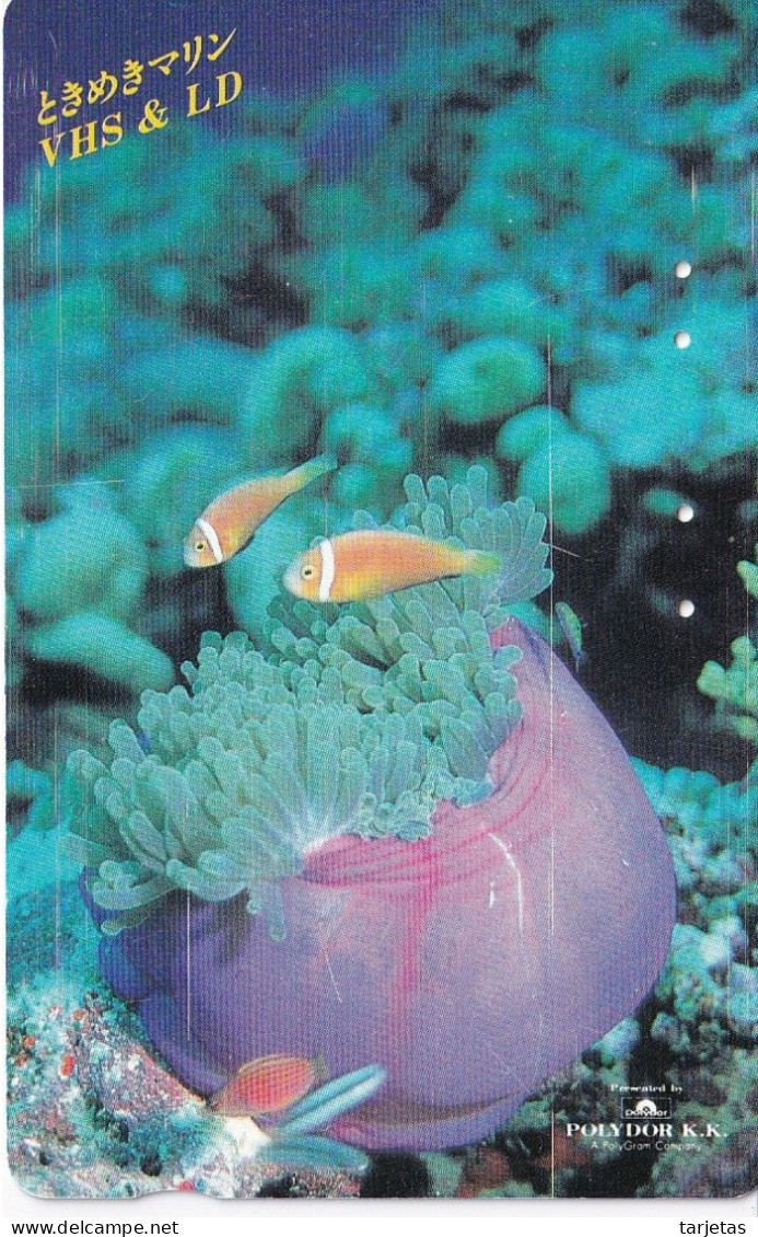 TARJETA DE JAPON DE UN PEZ PAYASO (FISH-PEZ-POISSON) - Vissen