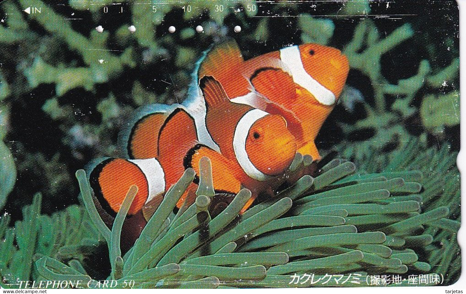 TARJETA DE JAPON DE UN PEZ PAYASO (FISH-PEZ-POISSON) - Poissons