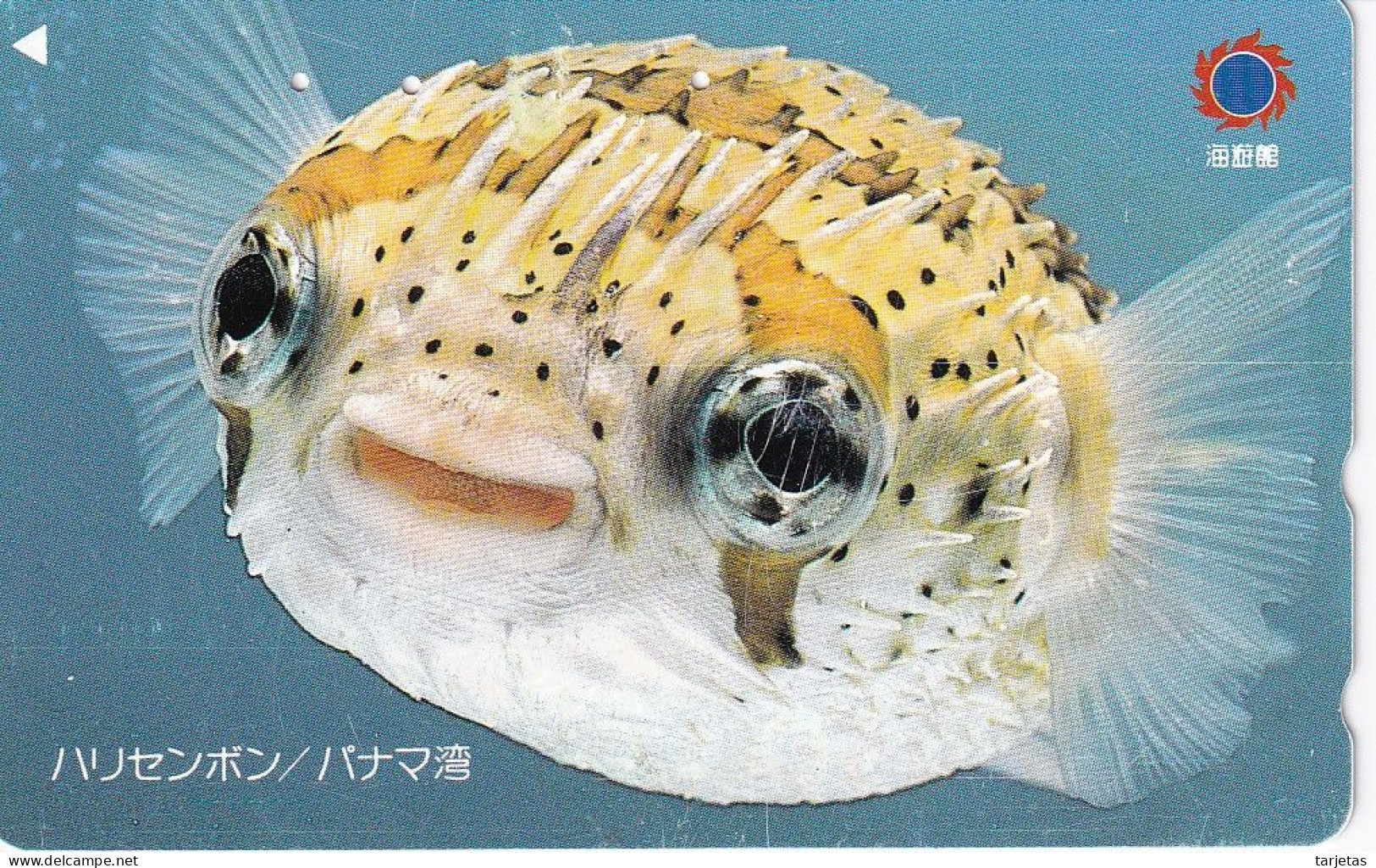 TARJETA DE JAPON DE UN PEZ GLOBO  (FISH-PEZ-POISSON) - Peces