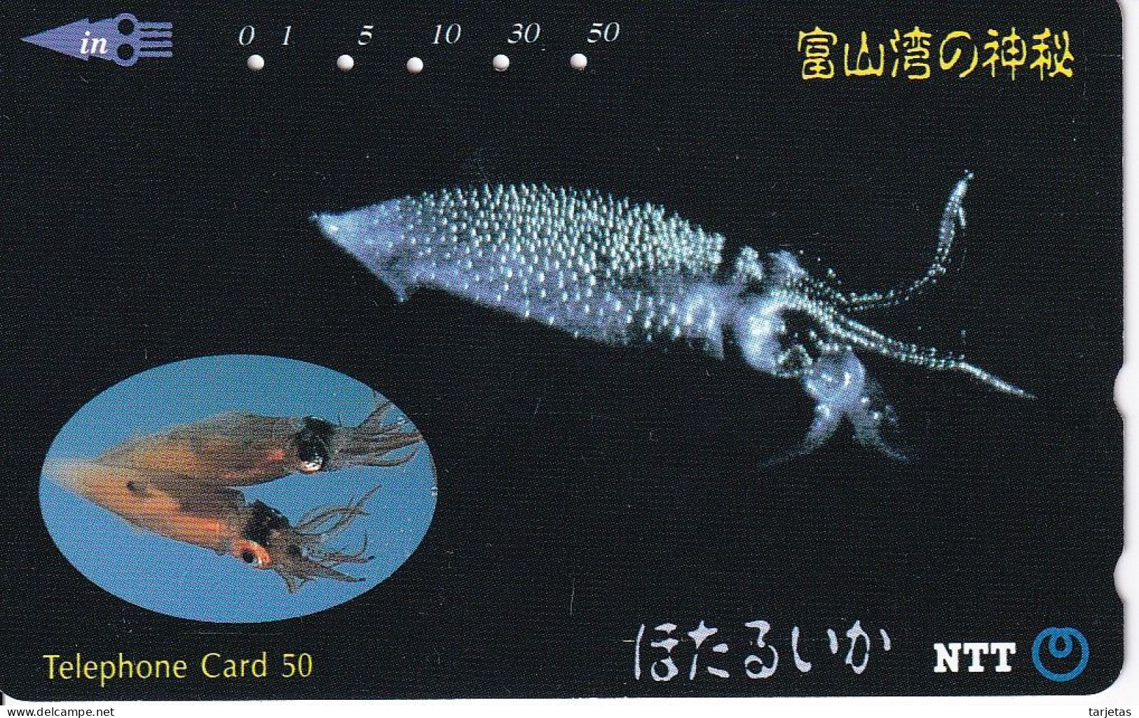 TARJETA DE JAPON DE UN CALAMAR  (FISH-PEZ-POISSON) - Pesci