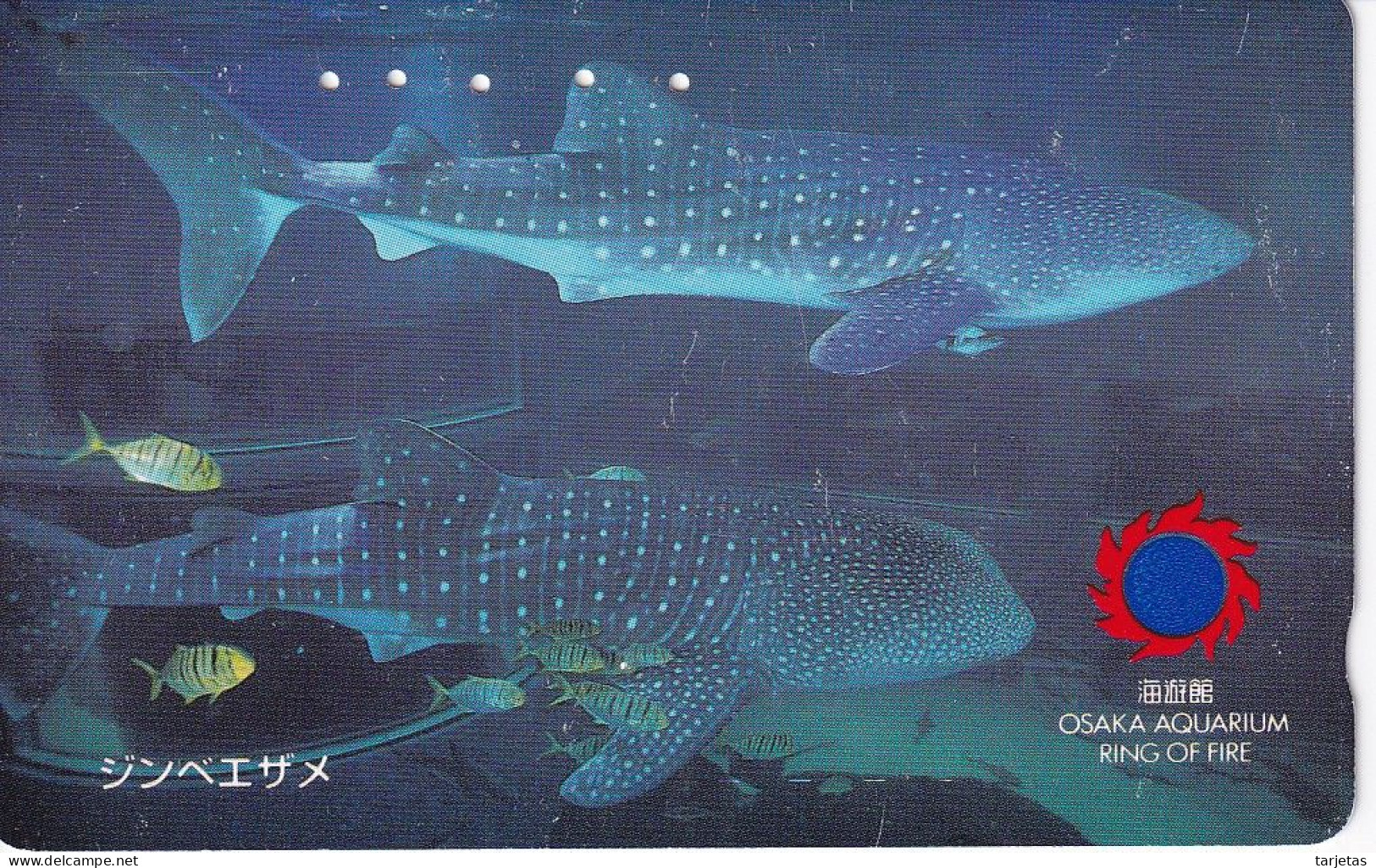 TARJETA DE JAPON DE UN TIBURON (SHARK)  (FISH-PEZ-POISSON) - Fische