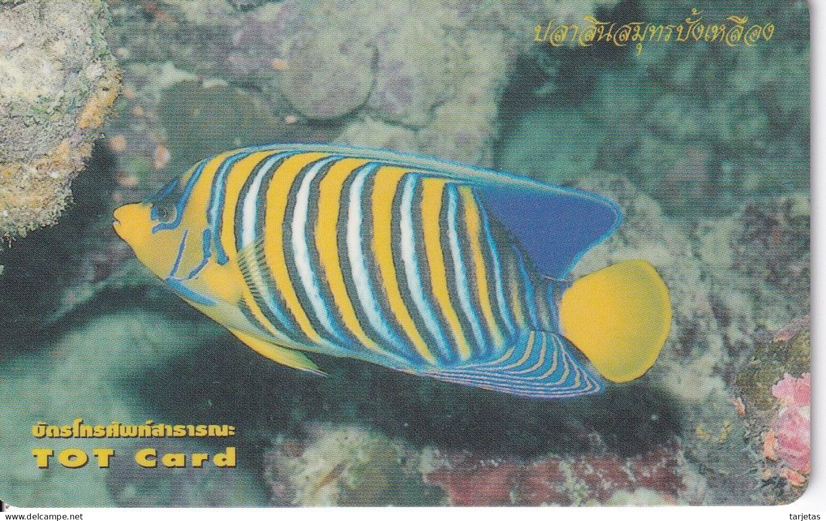 TARJETA DE TAILANDIA DE UN PEZ (FISH-PEZ-POISSON) - Peces