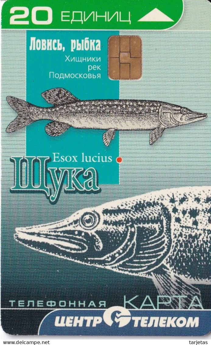 TARJETA DE RUSIA DE UNOS PECES (PEZ-FISH) - Fish