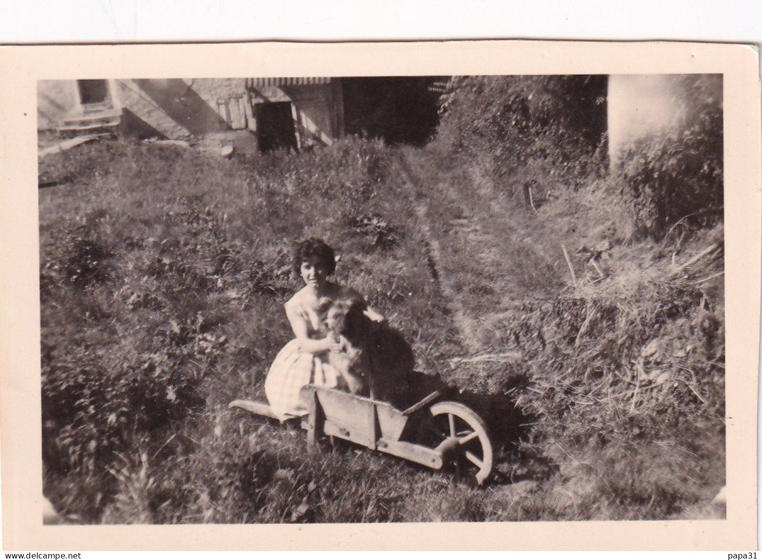 LAFRANCAISE  - Petite Photo D'une Jeune Fille Avec Un Chien Dans Une Brouette En 1960 - Lafrancaise