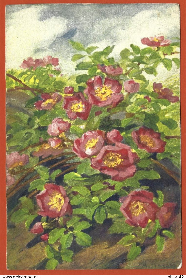 Fleurs - Peinture Signée De Anna Haller - CPA Non-Utilisée - Haller, A.