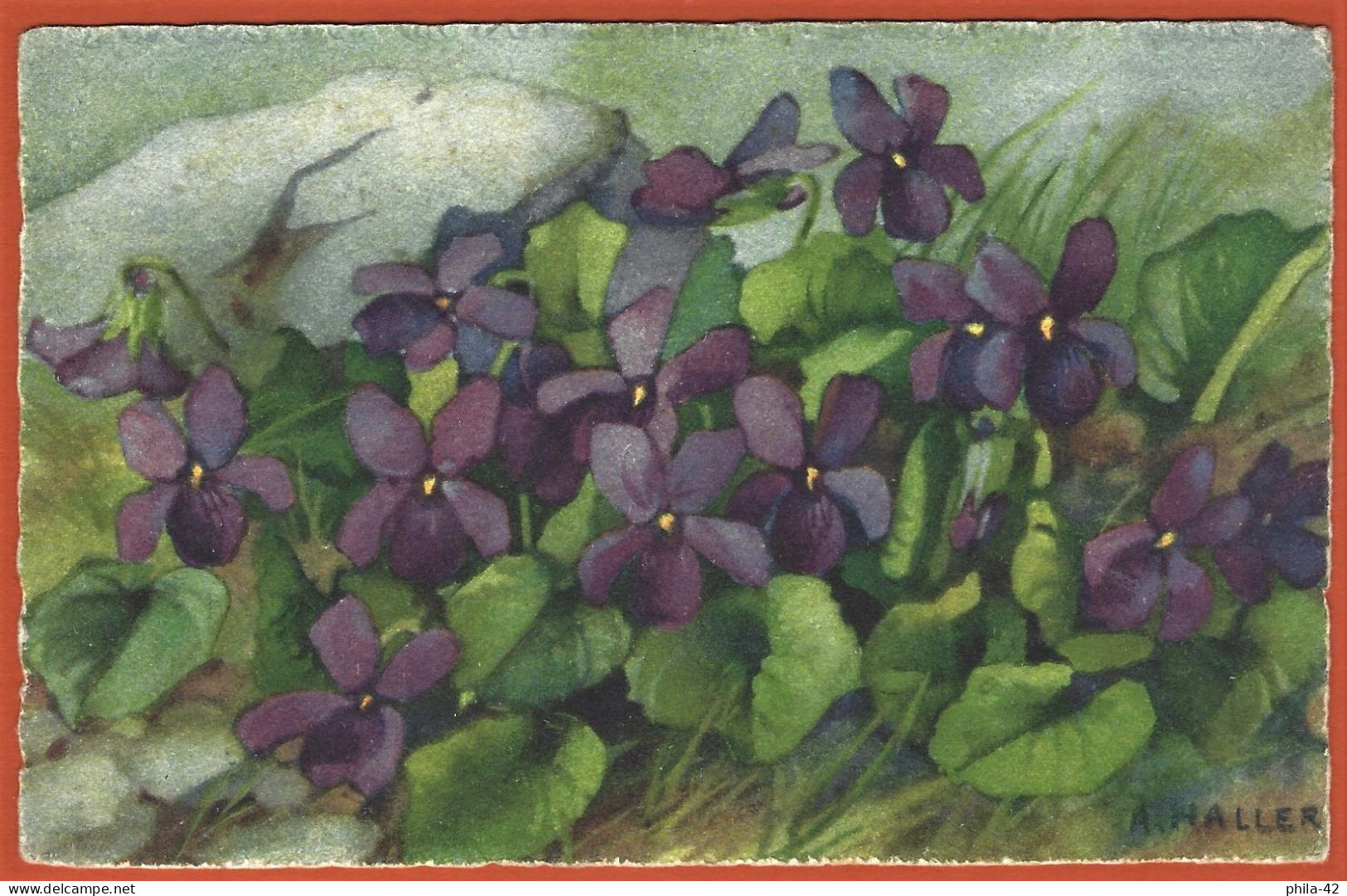 Fleurs ( Violettes ) Peinture Signée De Anna Haller - CPA Non-Utilisée - Haller, A.