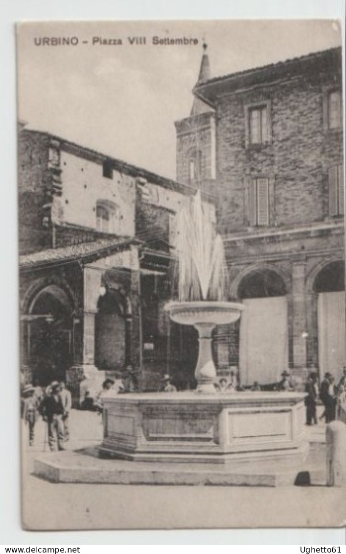 Urbino - Piazza VIII Settembre Viaggiata Nel 1909 - Urbino