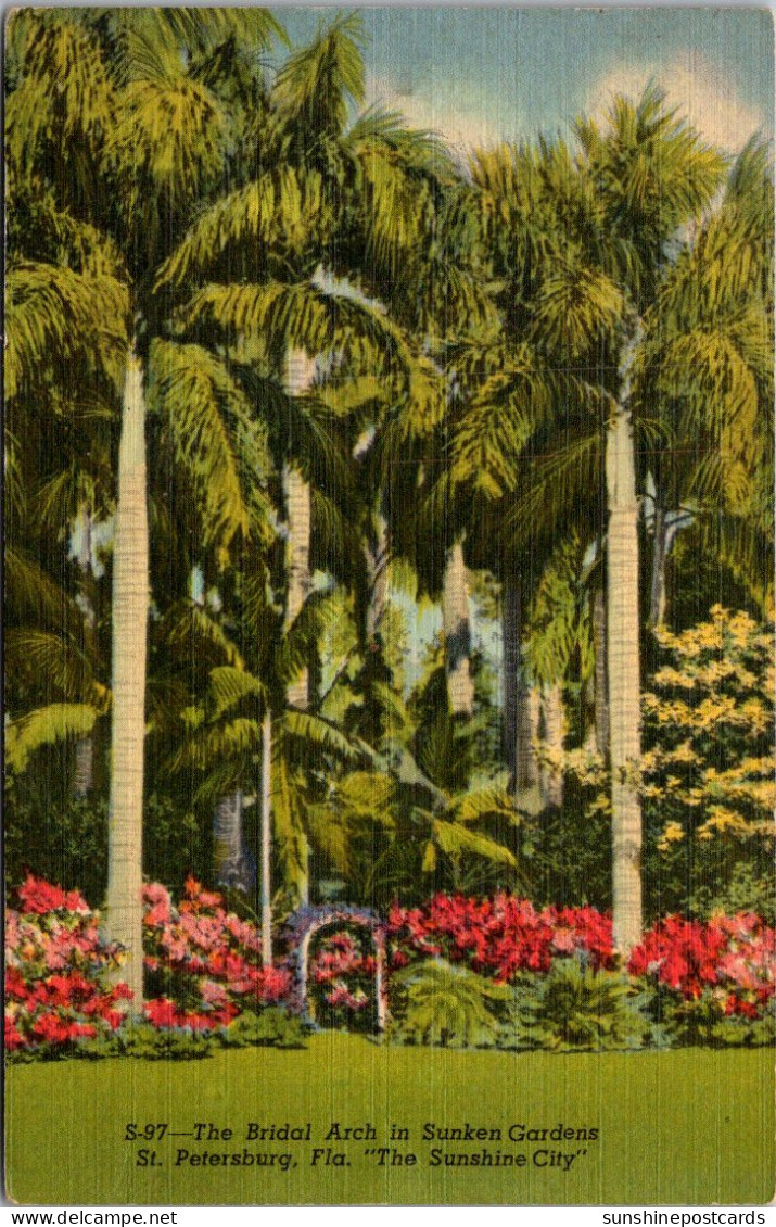 Florida St Petersburg The Bridal Arch In Sunken Gardens 1953 Curteich - St Petersburg