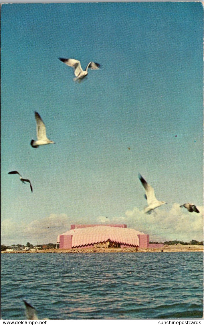 Florida Sarasota Sea Gulls Over Sarasota Bay Showing Van Wexel Hall Theater For The Performing Arts 1972 - Sarasota