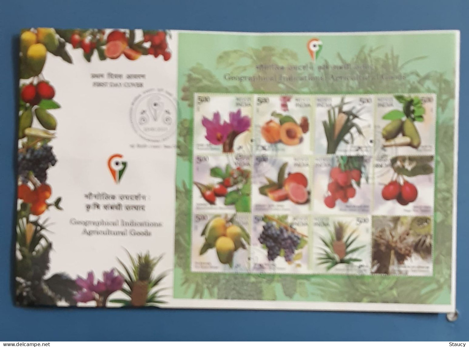 India 2023 GI Fruits Series Grapes Agriculture Mango Gastronomy SS First Day Cover FDC New Delhi Cancelled As Per Scan - Agriculture