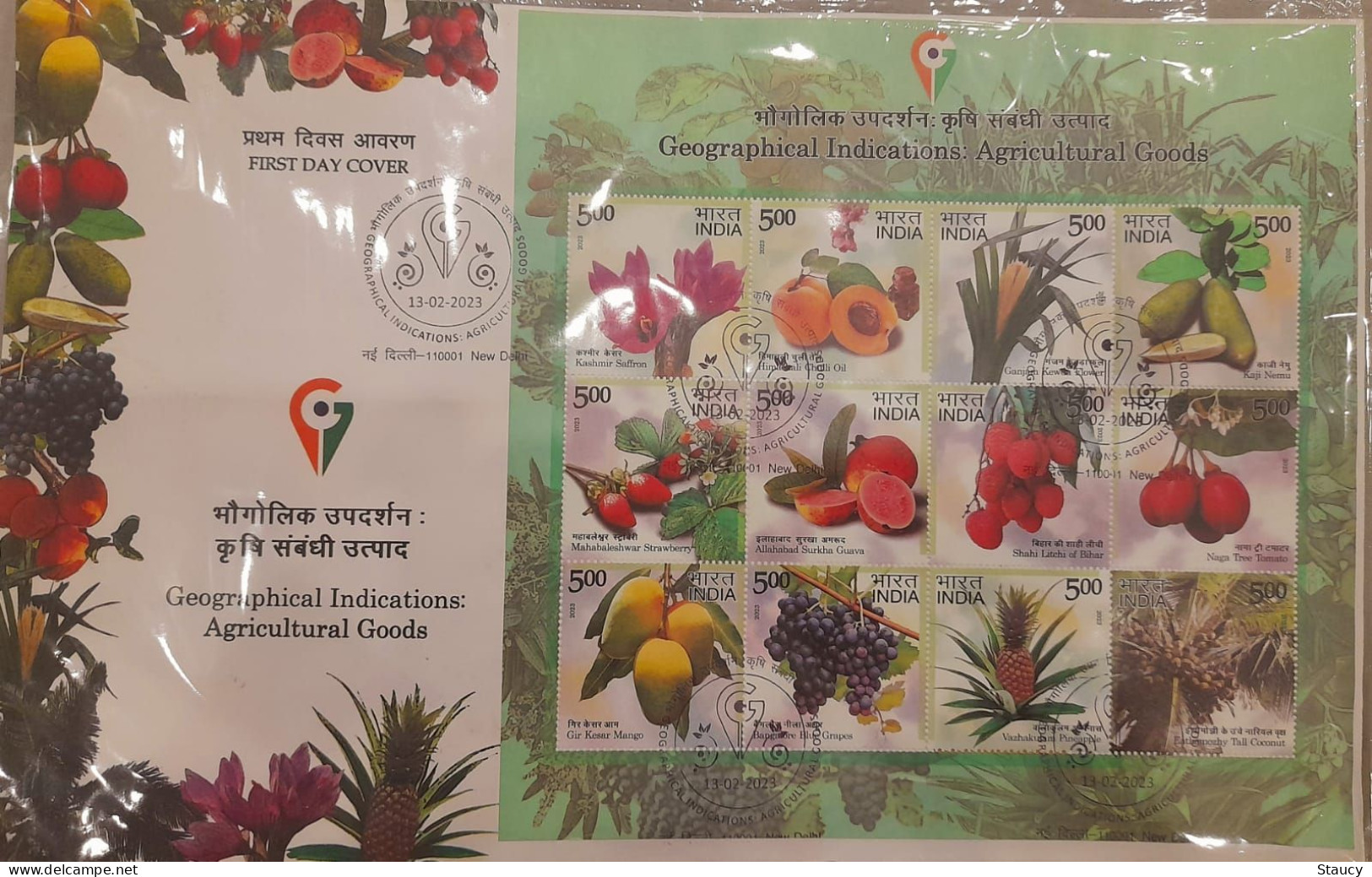 India 2023 GI Fruits Series Grapes Agriculture Mango Gastronomy SS First Day Cover FDC New Delhi Cancelled As Per Scan - Agriculture