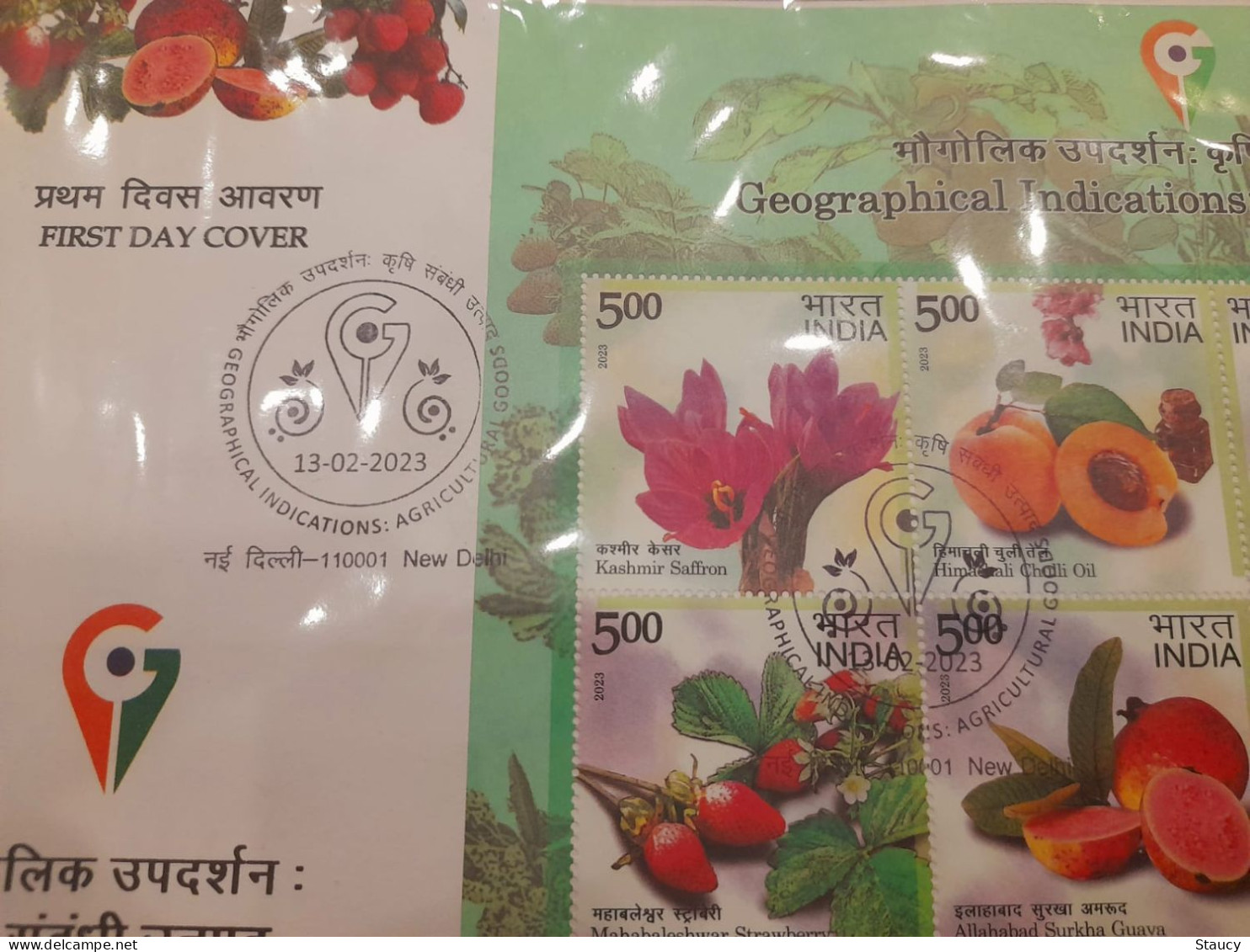 India 2023 GI Fruits Series Grapes Agriculture Mango Gastronomy SS First Day Cover FDC New Delhi Cancelled As Per Scan - Agriculture