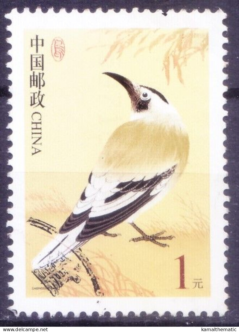 China 2002 Used, Biddulph's Ground-jay, Birds - Cuckoos & Turacos