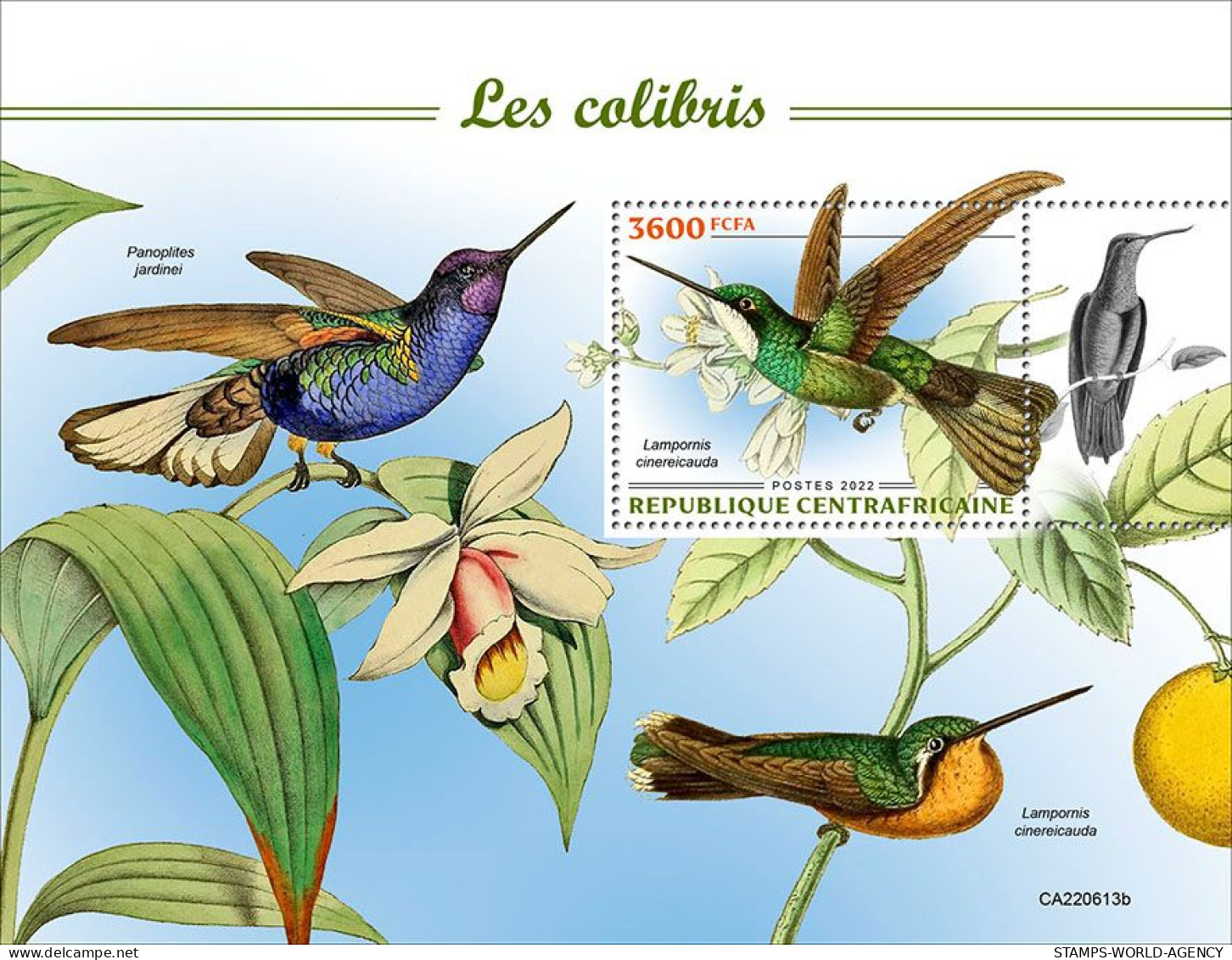 2022-10 - CENTRAL AFRICAN- HUMMINGBIRDS                1V    MNH** - Kolibries