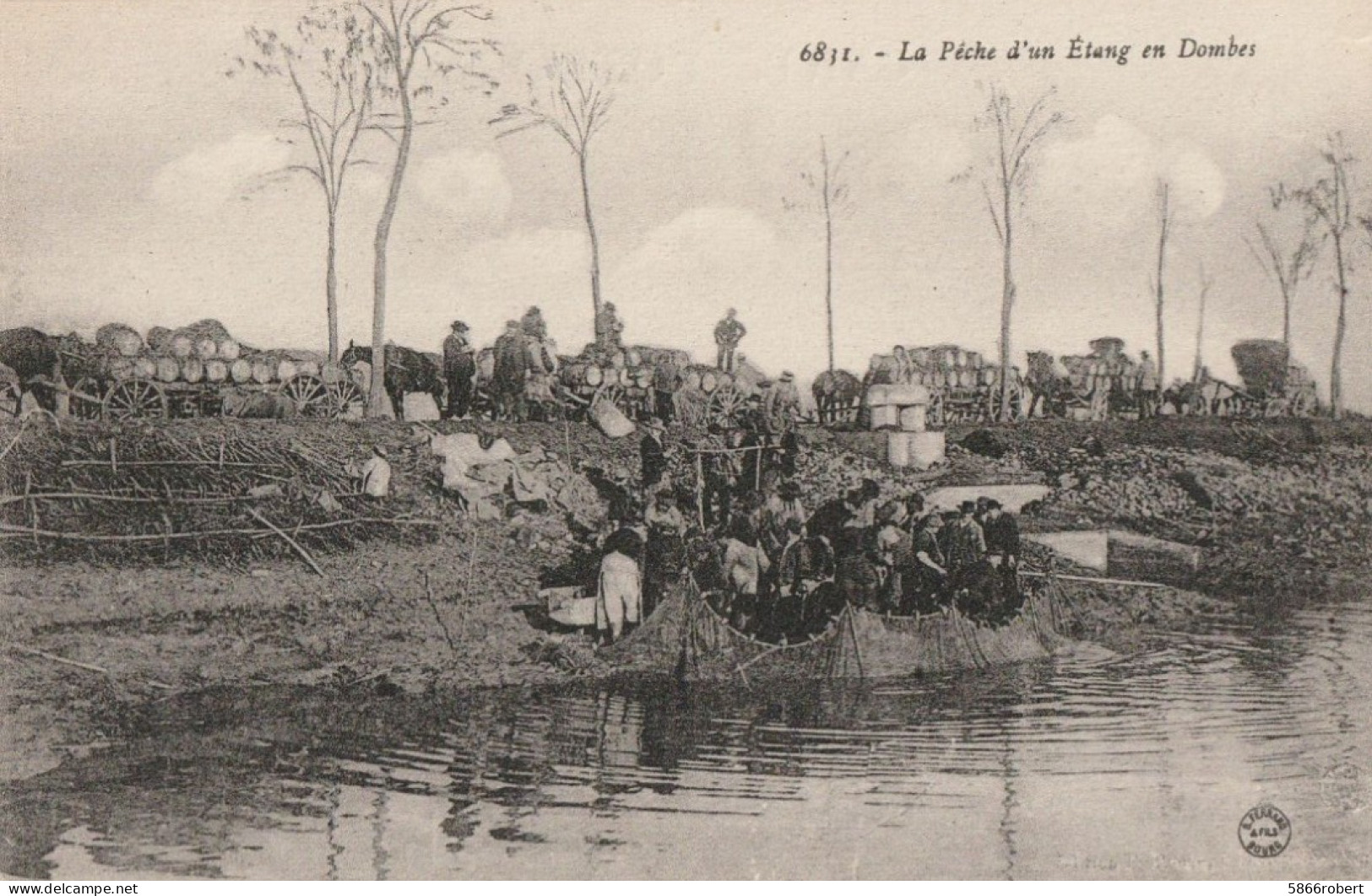 CARTE POSTALE ORIGINALE ANCIENNE : VILLARS LES DOMBES LE VIDAGE D'UN ETANG EN POISSONS PECHE AU FILET ANIMEE AIN (01) - Villars-les-Dombes