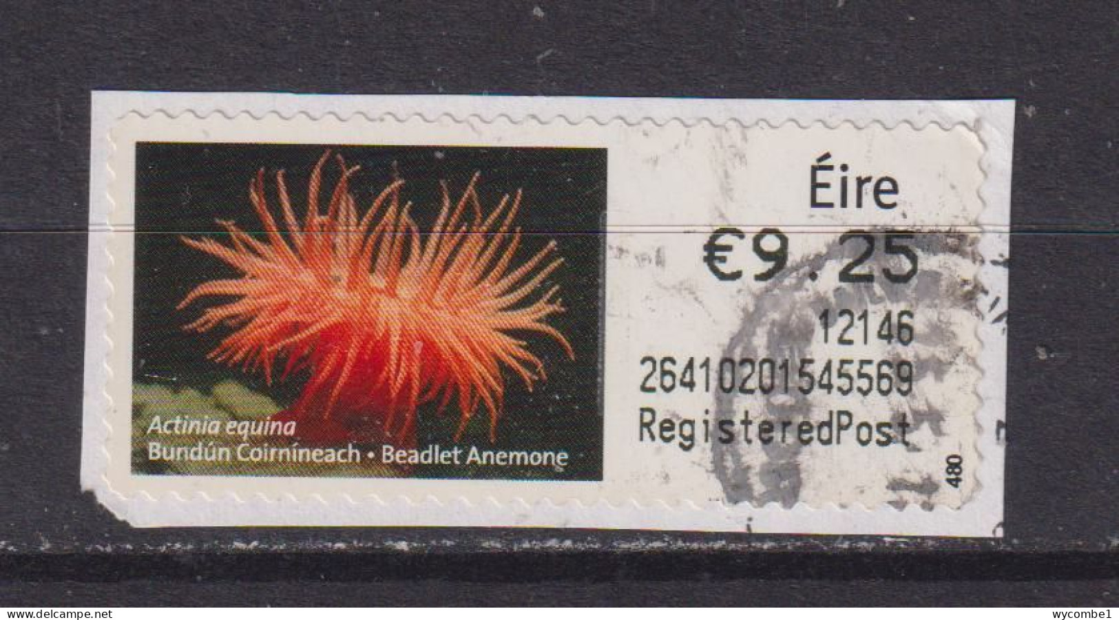 IRELAND  -  2011 Beadlet Anemone SOAR (Stamp On A Roll)  Used On Piece As Scan - Used Stamps