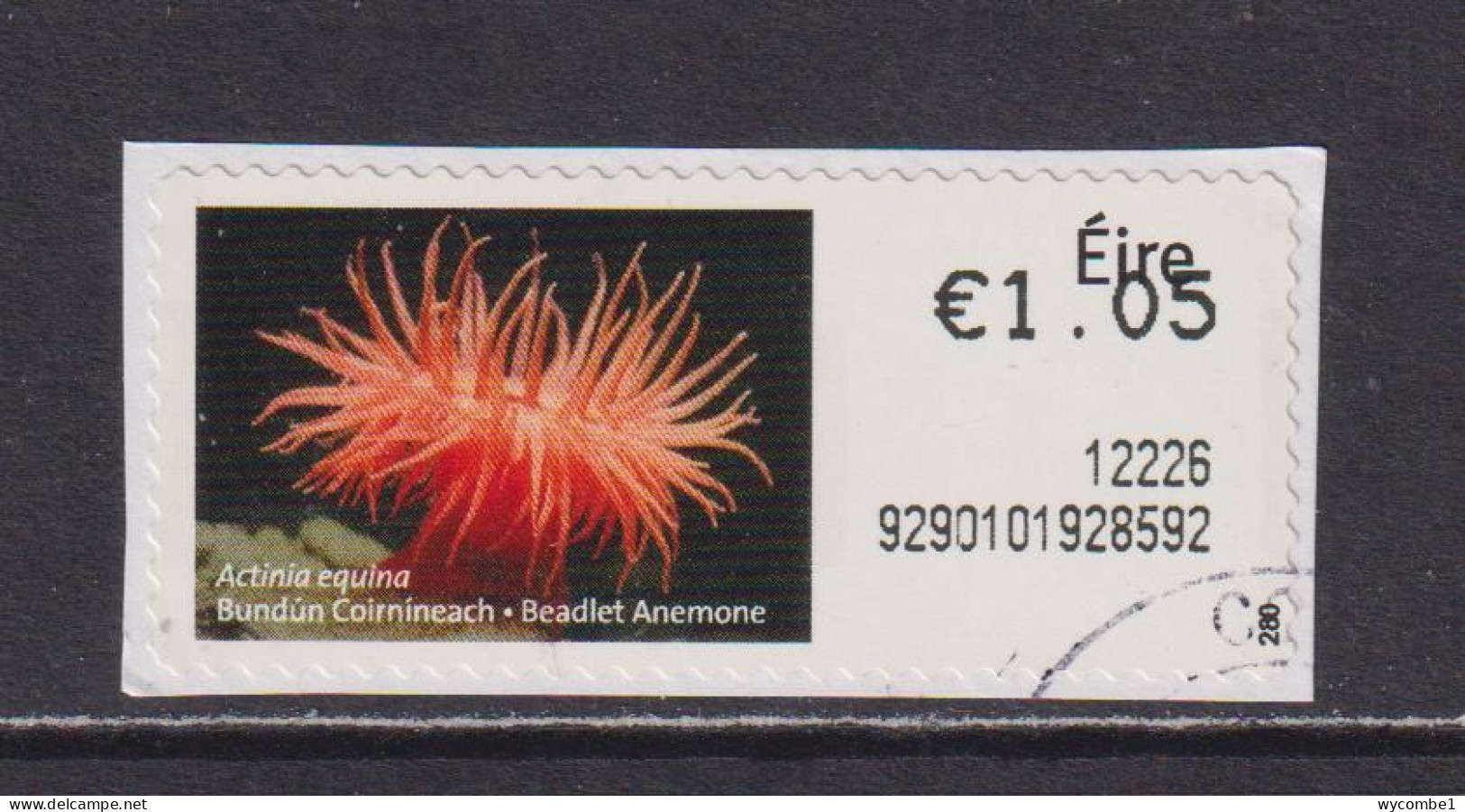 IRELAND  -  2011 Beadlet Anemone SOAR (Stamp On A Roll)  Used On Piece As Scan - Usados