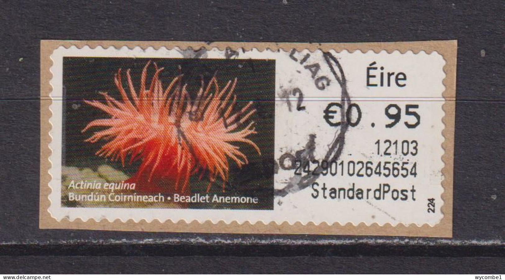 IRELAND  -  2011 Beadlet Anemone SOAR (Stamp On A Roll)  Used On Piece As Scan - Usados