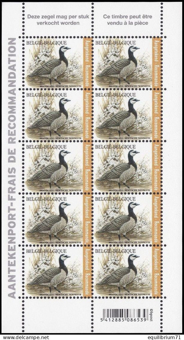 4912** - Bernache Nonnette / Brandgans / Nonnengans / Barnacle Goose - Recommandé / Aantekenport - BUZIN - BELGIQUE - Ganzen