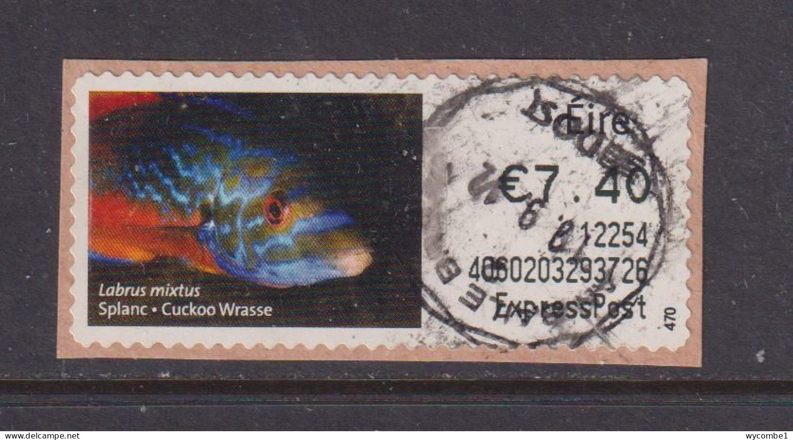 IRELAND  -  2011 Cuckoo Wrasse SOAR (Stamp On A Roll)  Used On Piece As Scan - Used Stamps