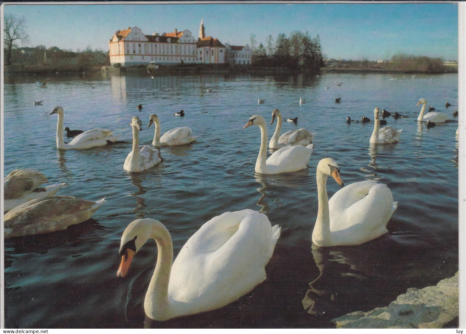 SCHÄRDING Am Inn, Vogelwelt Am Inn Beim Wassertor Mit Blick Nach Neuhaus - Schärding