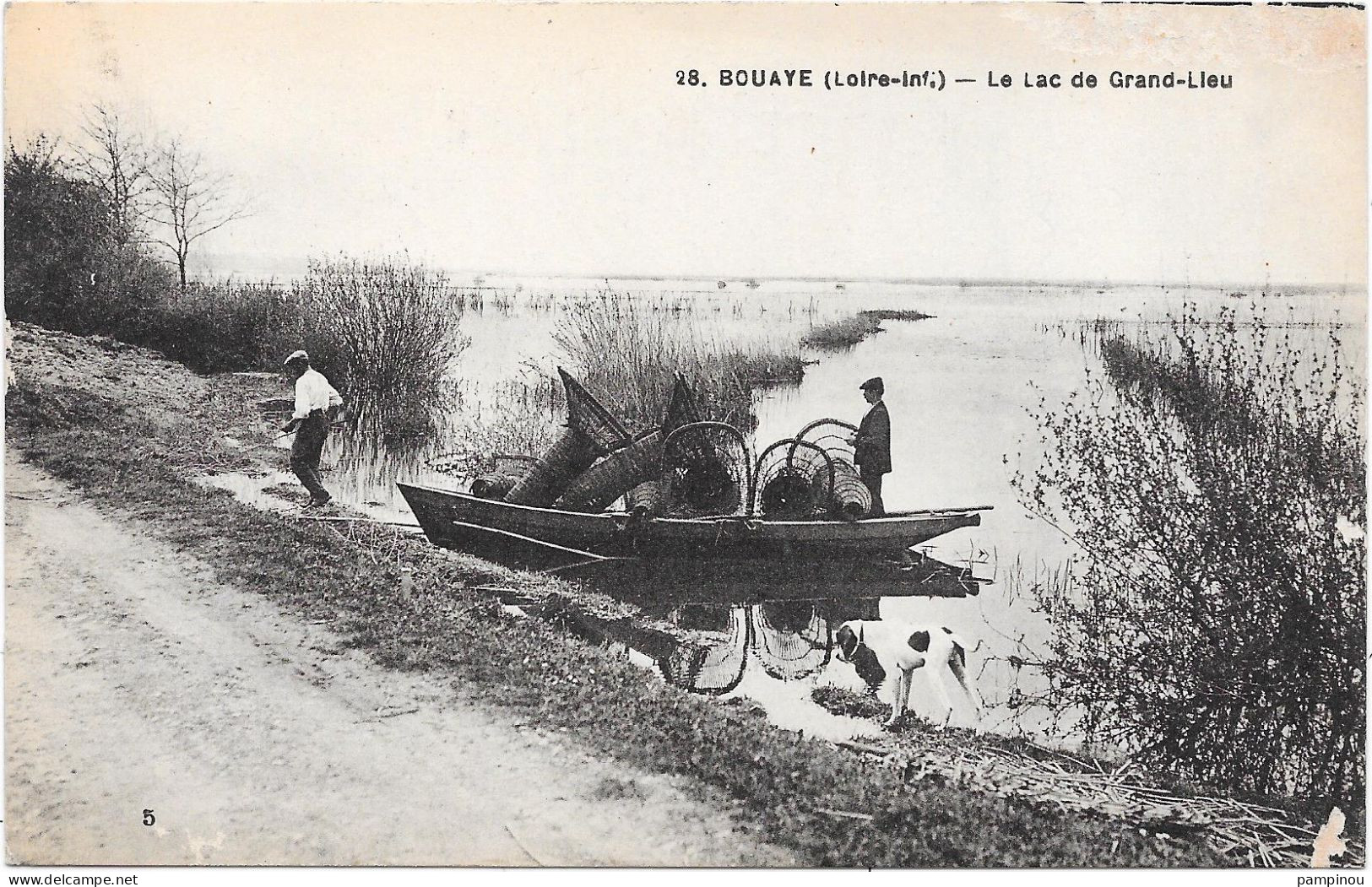 44 BOUAYE - Le Lac De Grand Lieu- Animée - Bouaye