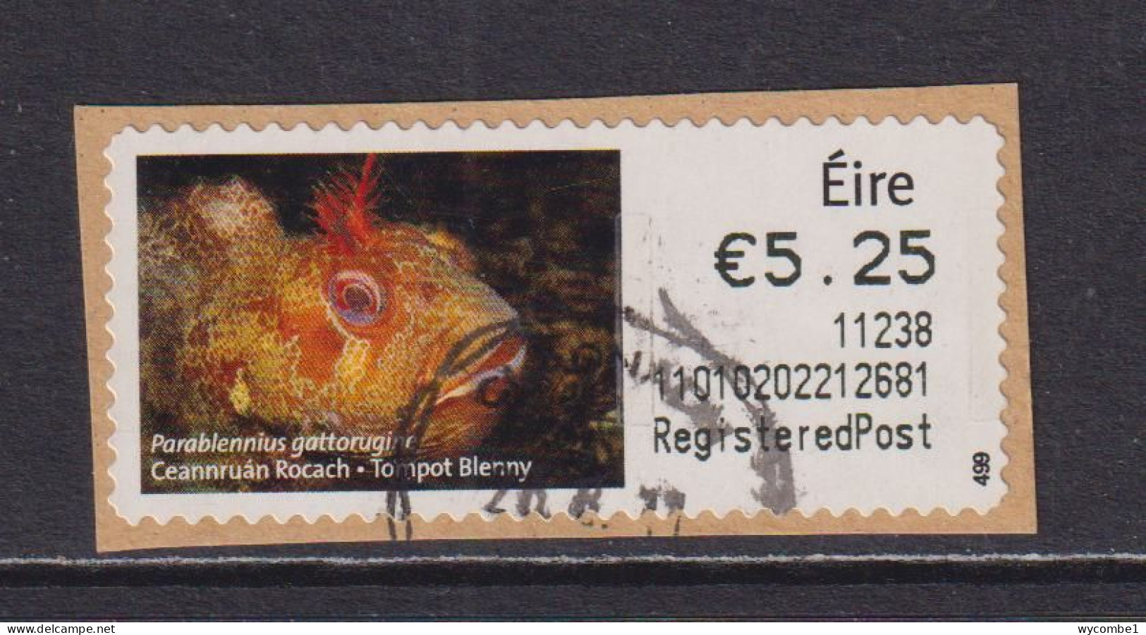 IRELAND  -  2010 Tompot Blenny SOAR (Stamp On A Roll)  Used On Piece As Scan - Usados