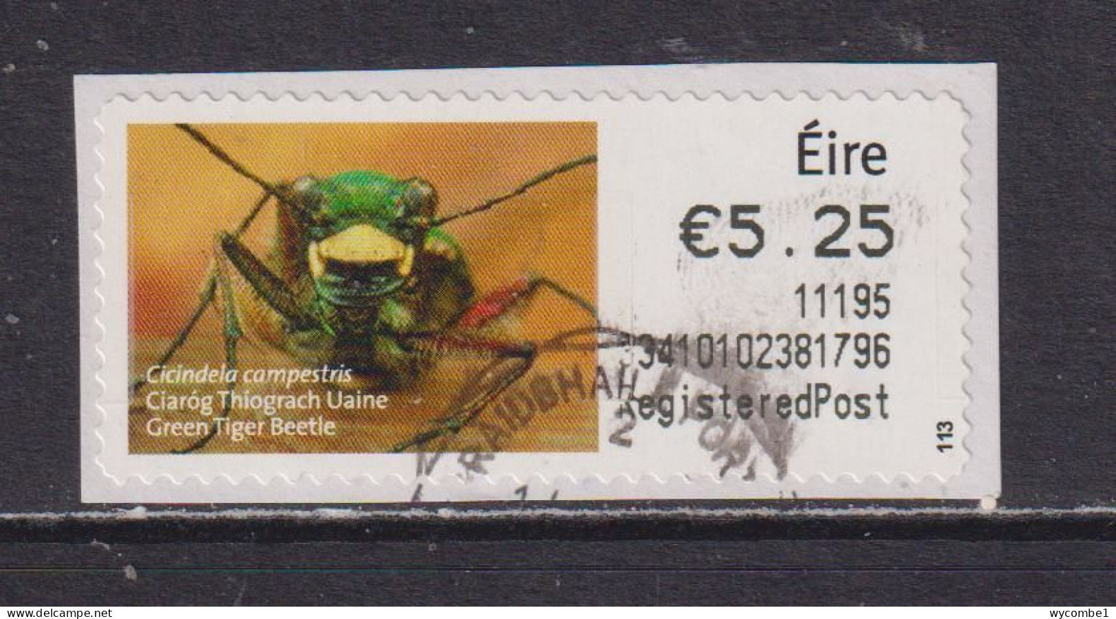 IRELAND  -  2010 Green Tiger Beetle SOAR (Stamp On A Roll)  Used On Piece As Scan - Used Stamps