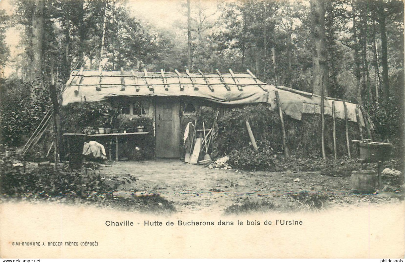 HAUTS DE SEINE  CHAVILLE   Hutte De Bucherons Dans Le Bois De L'ursine - Chaville