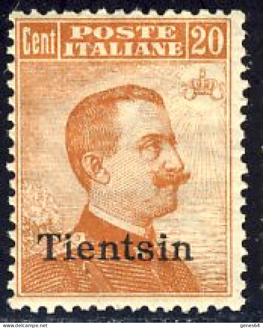 1917-18 - Francobolli D'Italia Soprastampati "Tientsin" - Michetti (109) 20 C. Nuovo Con Gomma Integra MNH - Tientsin