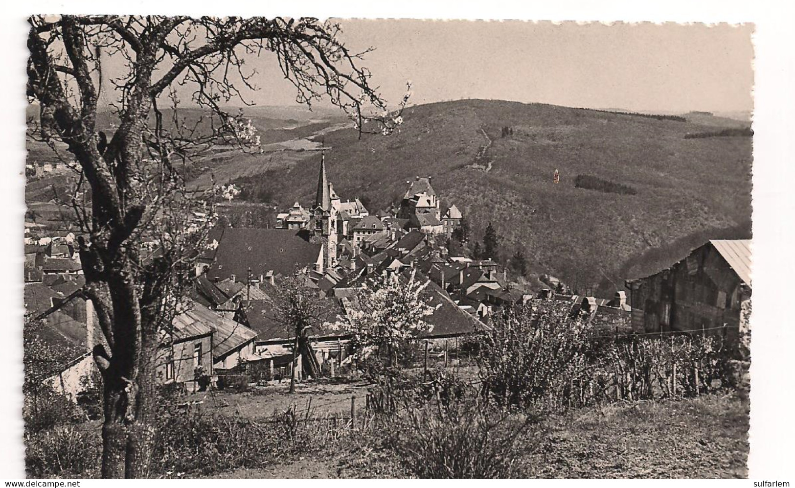 Carte Postale  WILTZ. - Wiltz