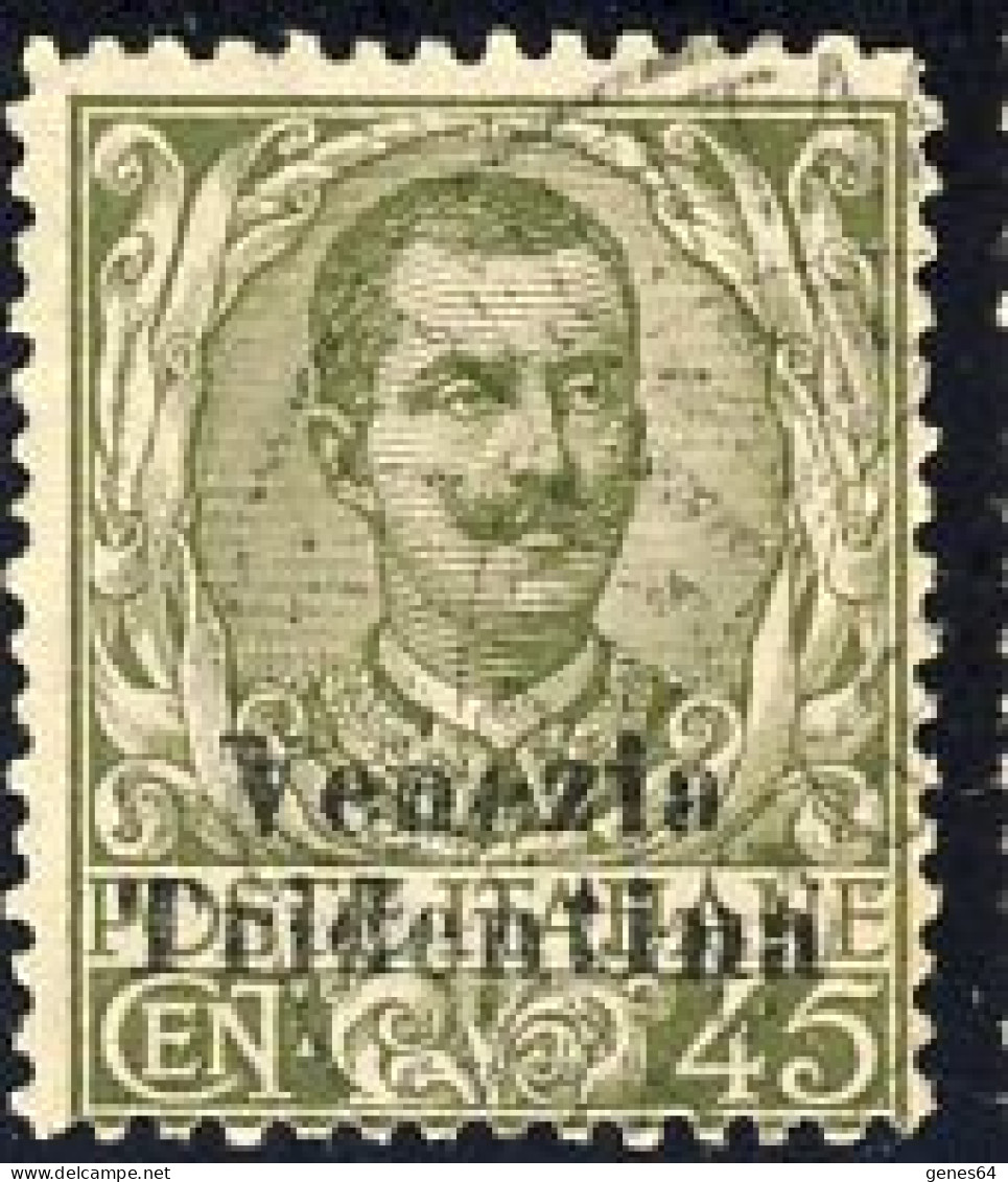 1918 - Floreale 45 C. Soprastampato Venezia Tridentina Con Leggero Annullo - Trentino