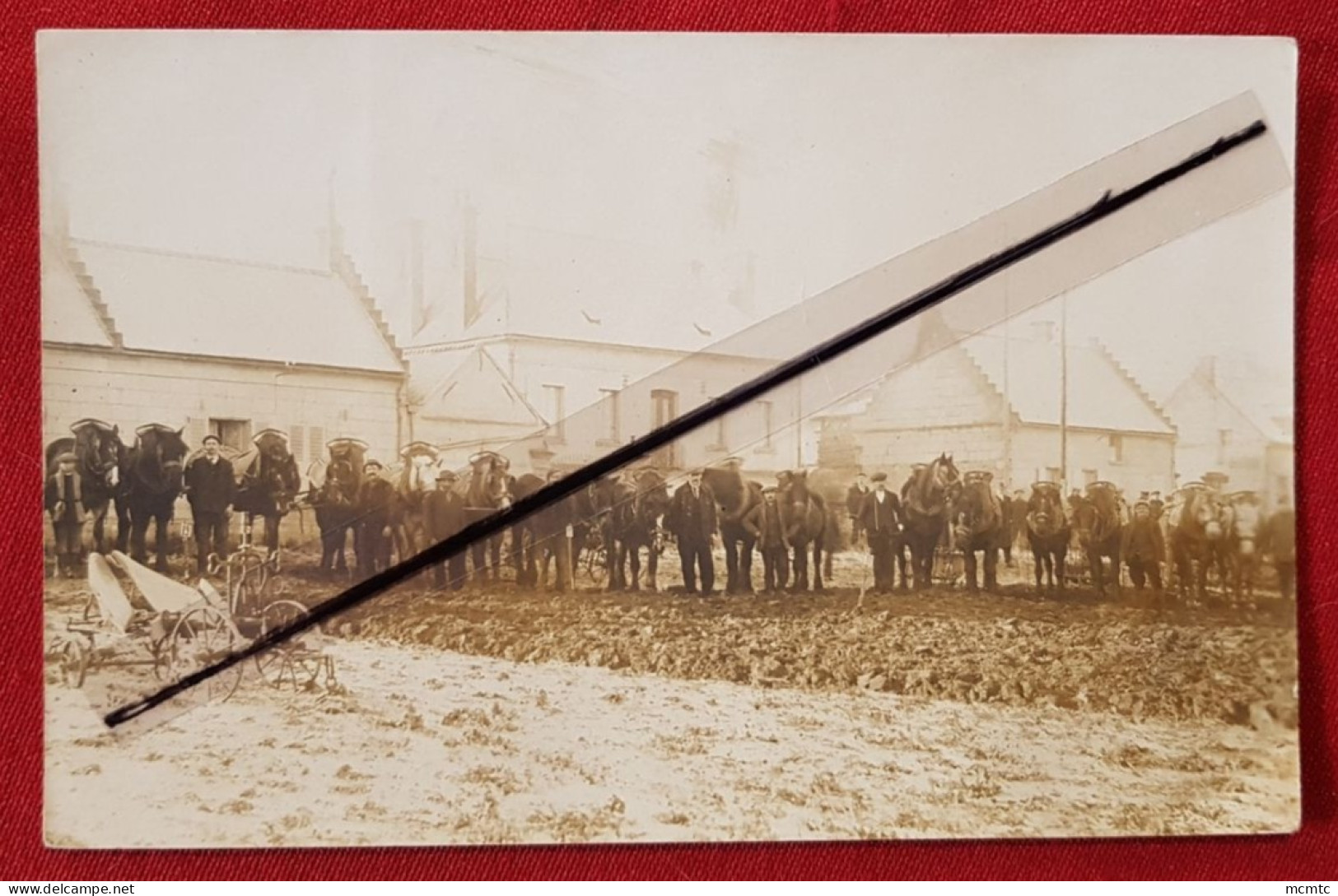 Carte Photo - Songeons à Confirmer (Concours Agricole Juin 1907) Chevaux - Songeons