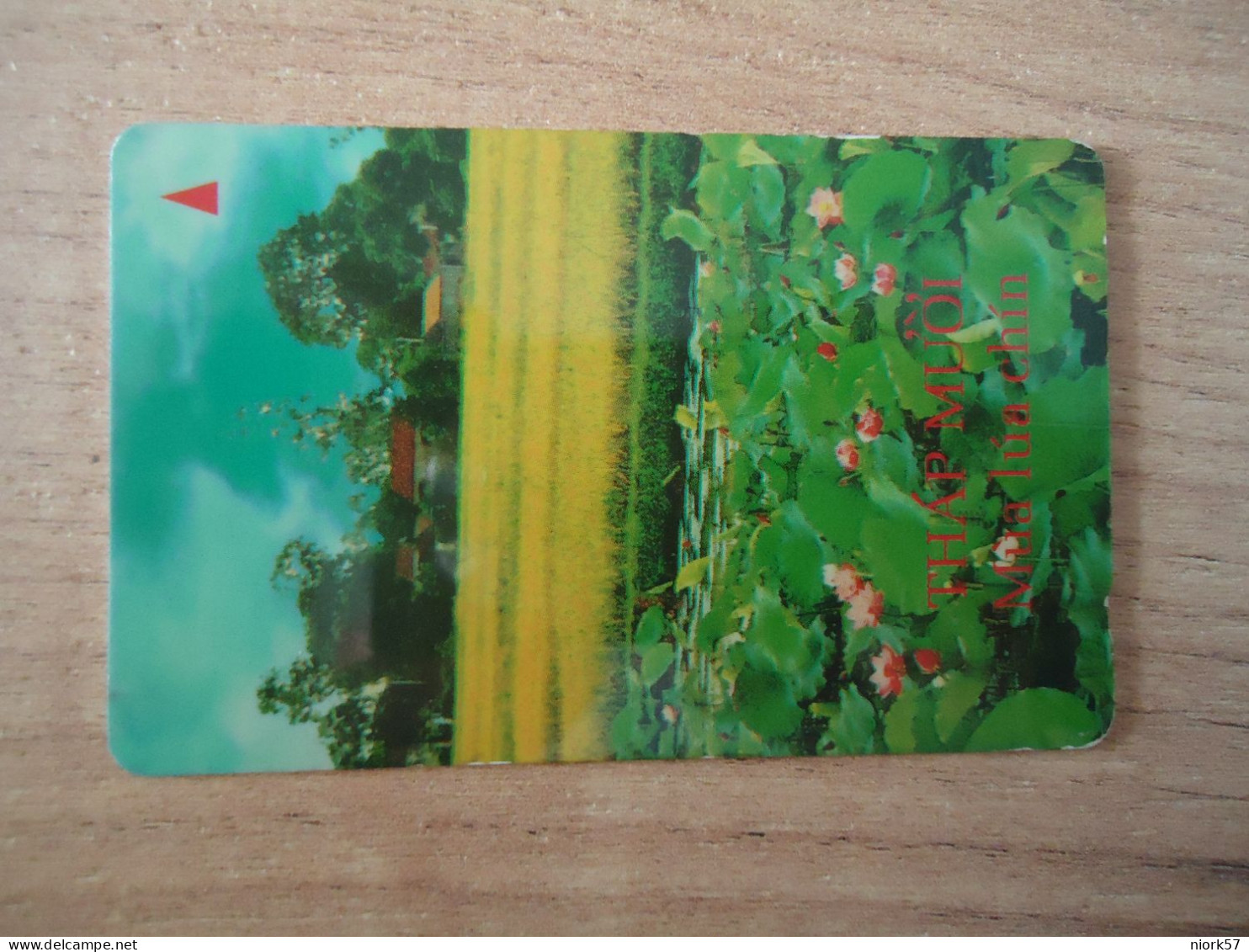 VIETNAM  USED CARDS  FLOWERS  PLANTS - Viêt-Nam