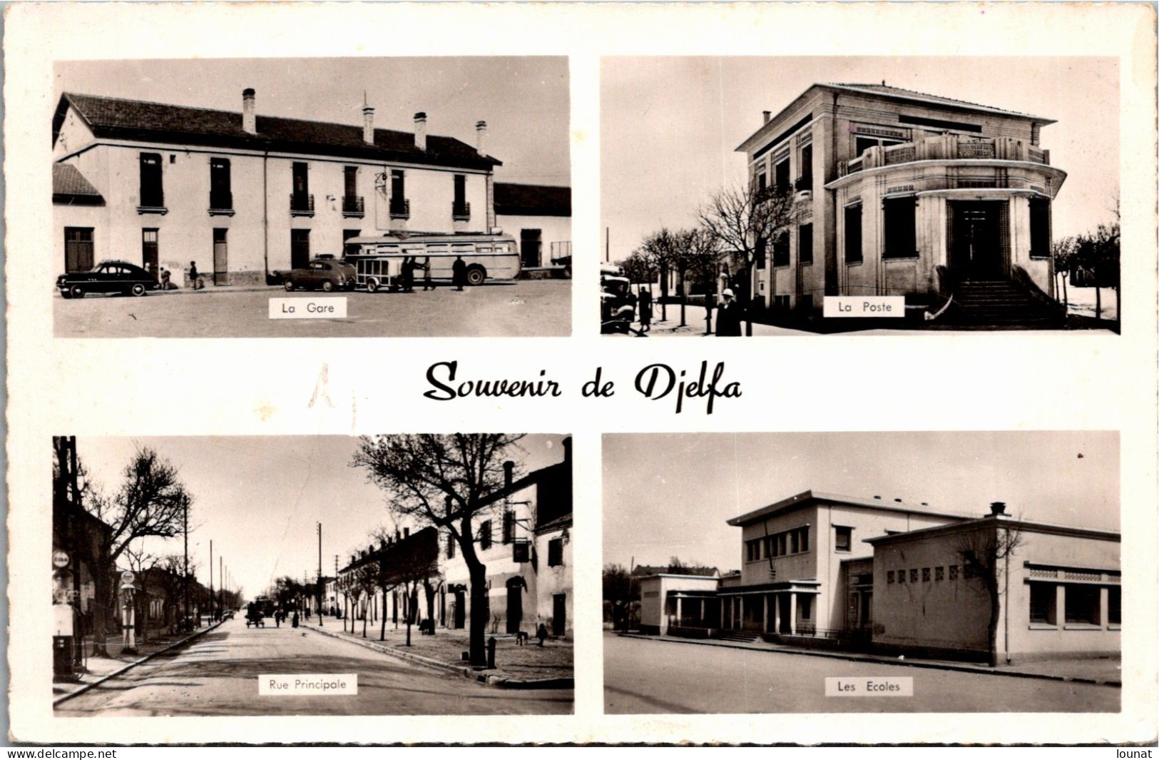 Algérie - DJELFA - Souvenir - La Gare - La Poste - Rue Principale - Les écoles(pli) - Djelfa