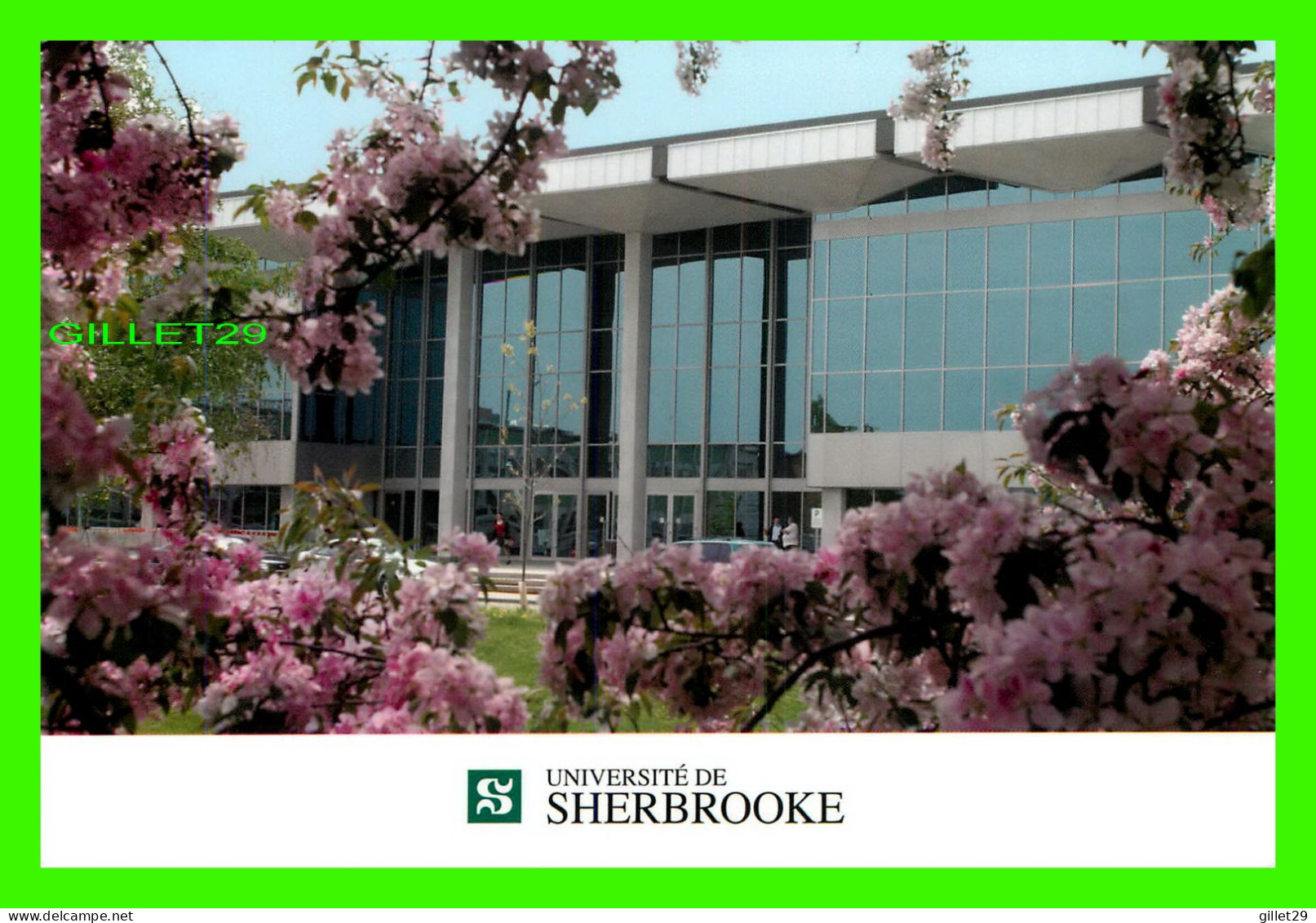 SHERBROOKE, QUÉBEC - UNIVERSITÉ DE SHERBROOKE - AU PRINTEMPS FLEURIE FACE ÀL'ENTRÉE - - Sherbrooke