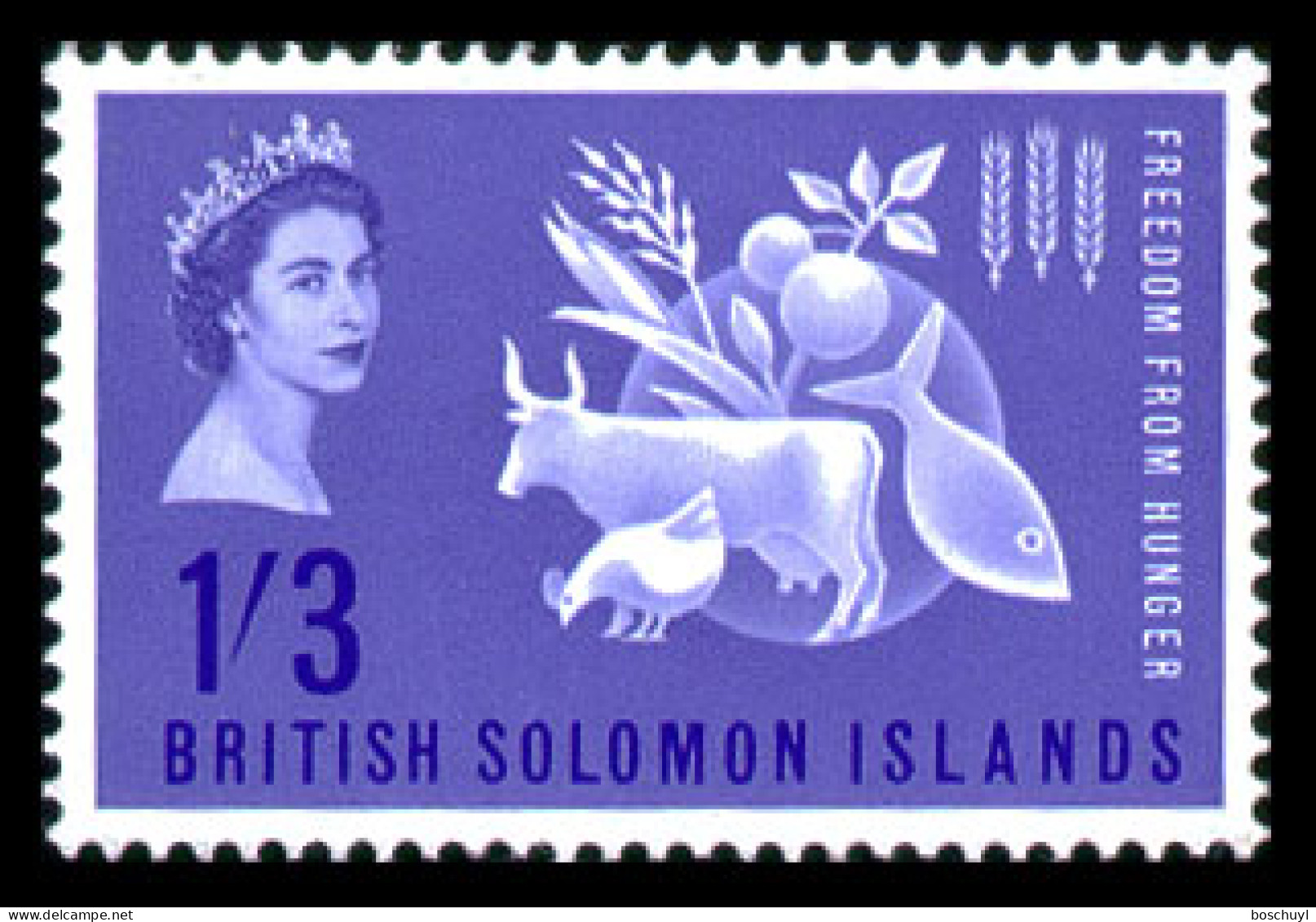 Solomon Islands, 1963, Freedom From Hunger, FAO, United Nations, MNH, Michel 101 - Salomonen (...-1978)