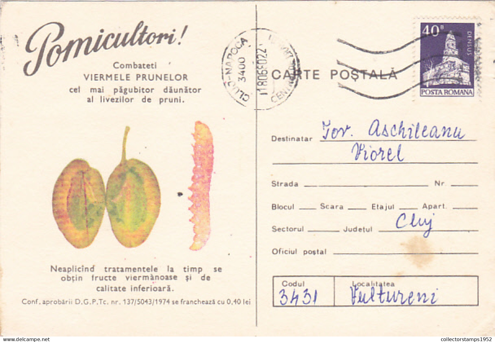 PLUM WORM, PESTS ADVERTISING, AGRICULTURE, SPECIAL POSTCARD, 1980, ROMANIA - Agriculture