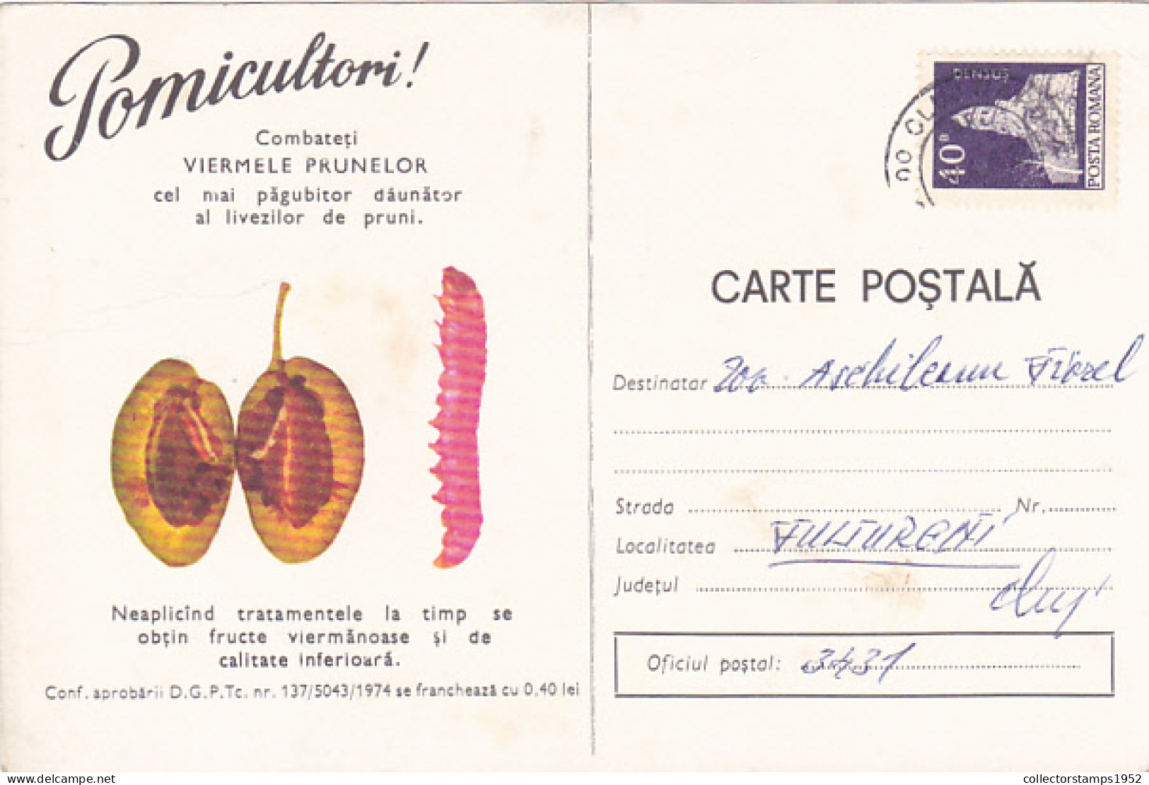 PLUM WORM, PESTS ADVERTISING, AGRICULTURE, SPECIAL POSTCARD, 1978, ROMANIA - Agriculture