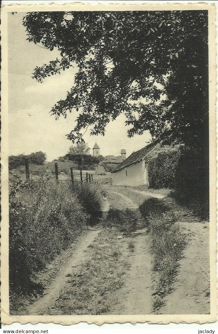 Mont St - Aubert -- Par Le Sentier De La Folie.   ( 2 Scans ) - Doornik